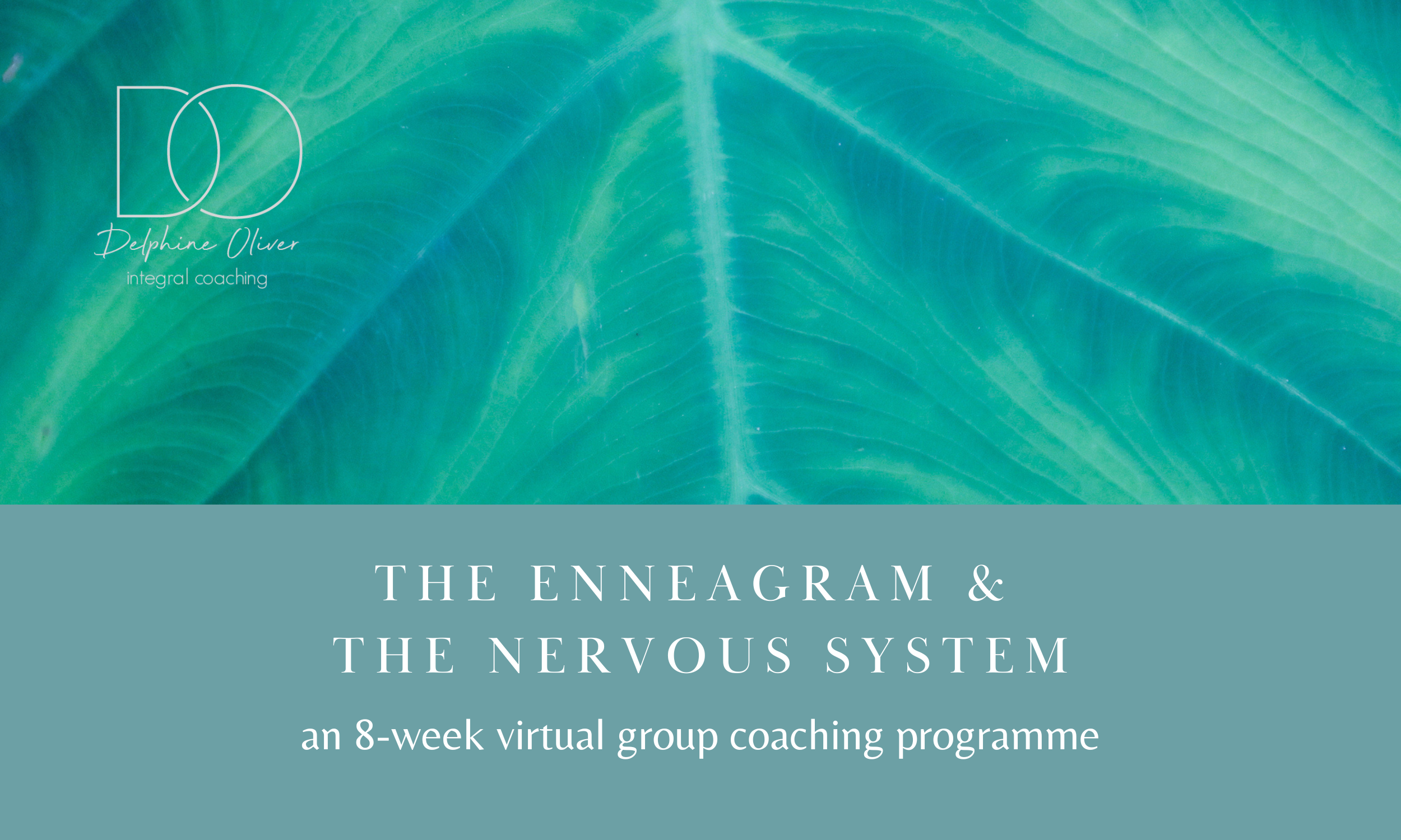 The Enneagram &amp; The Nervous System