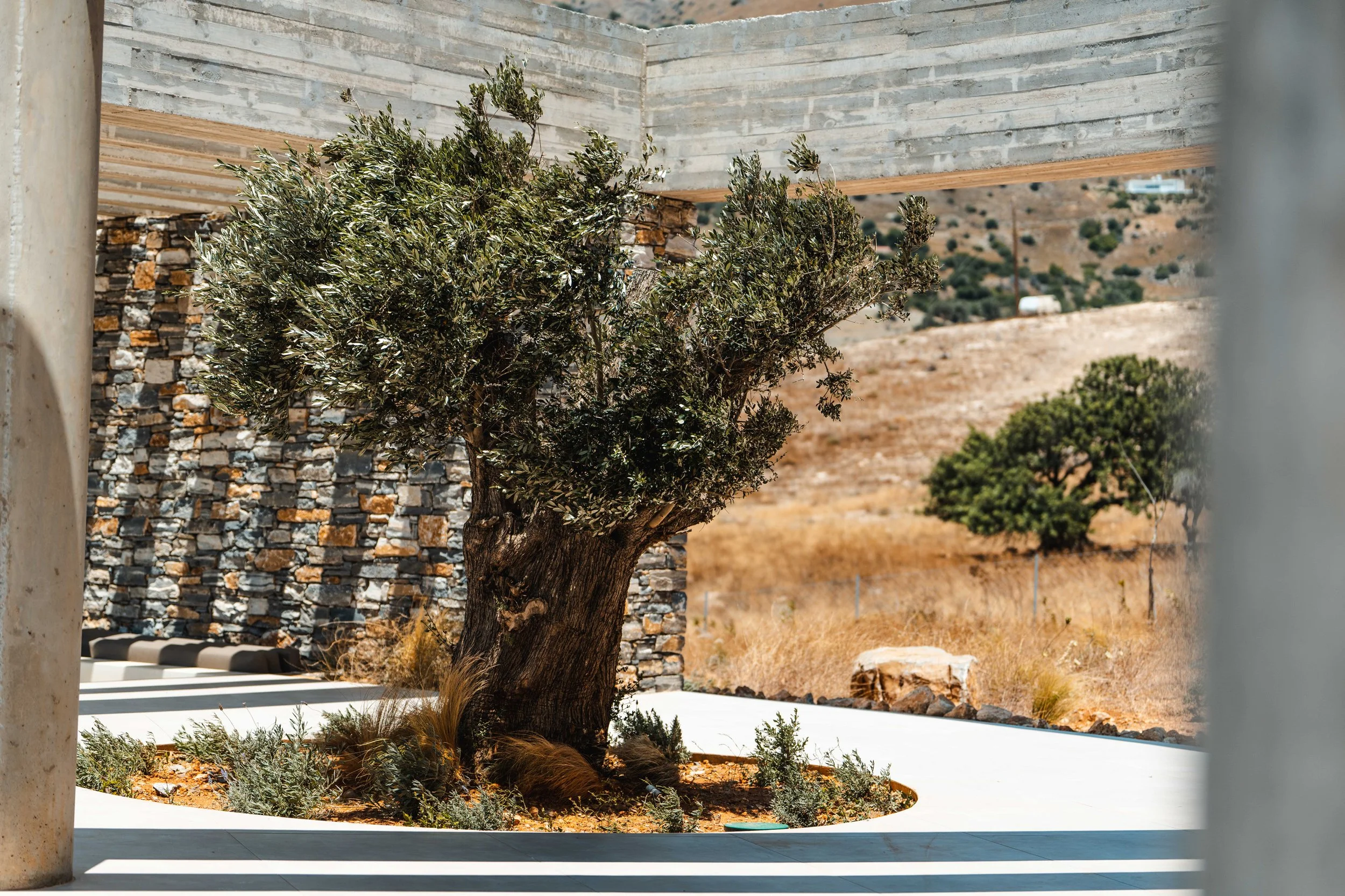 Keras Cliff House and the Quiet Science of Living Longer