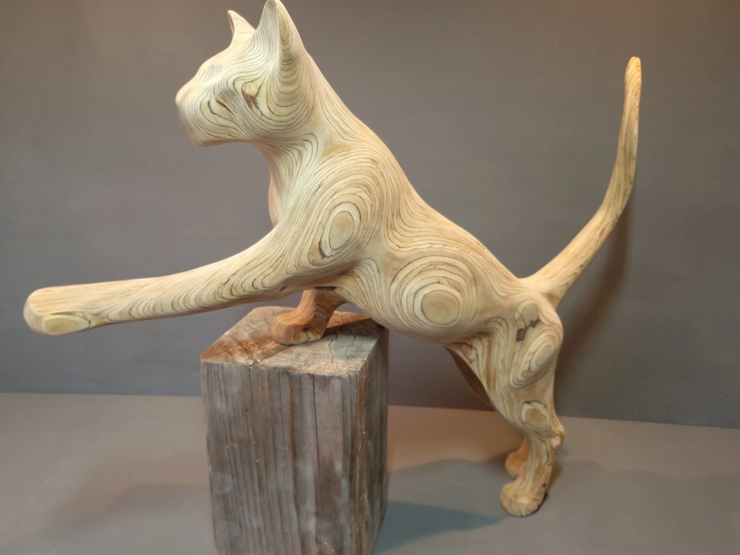 wooden cat stepping up reverse angle.jpg