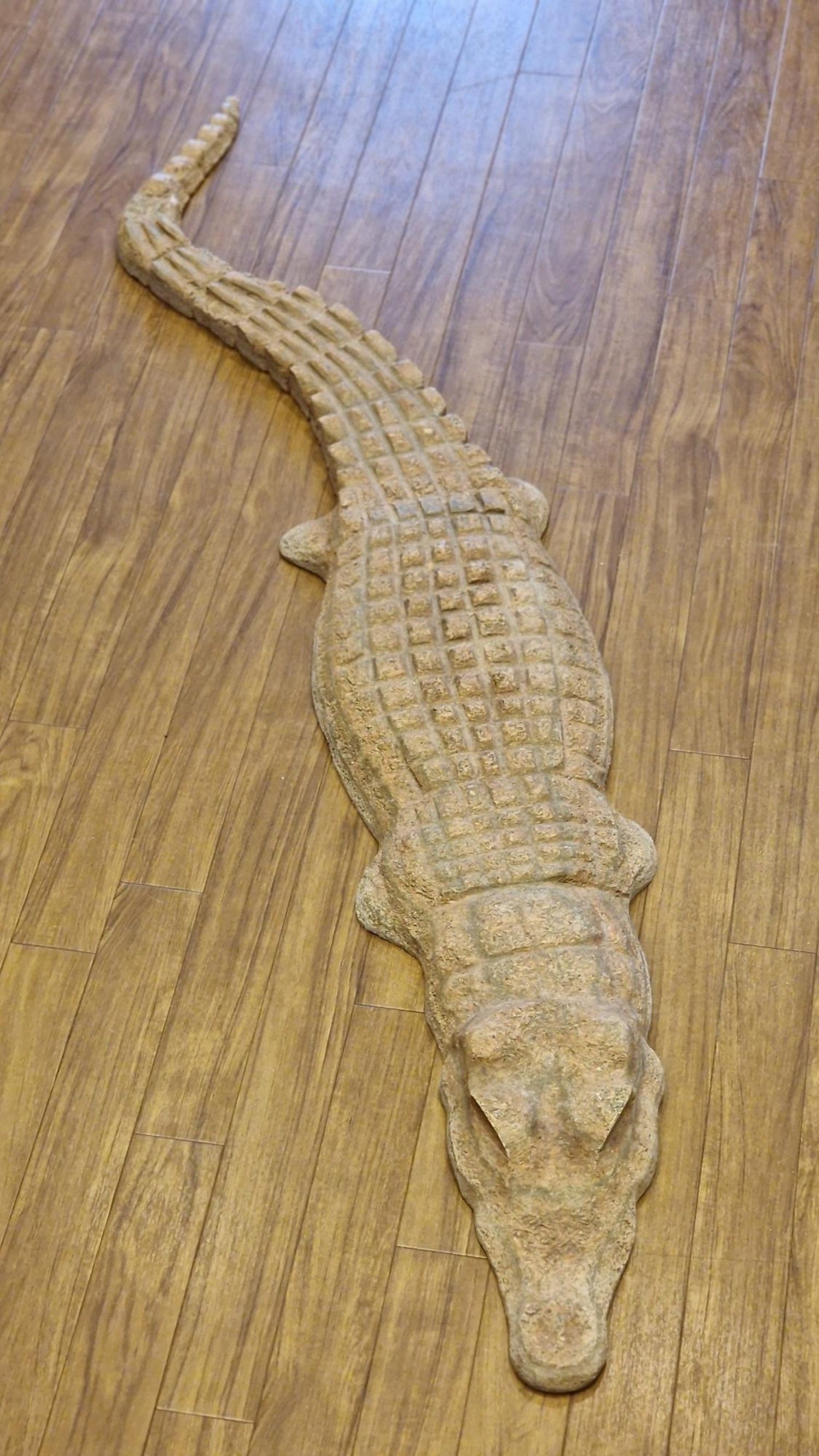 crocodile.jpg