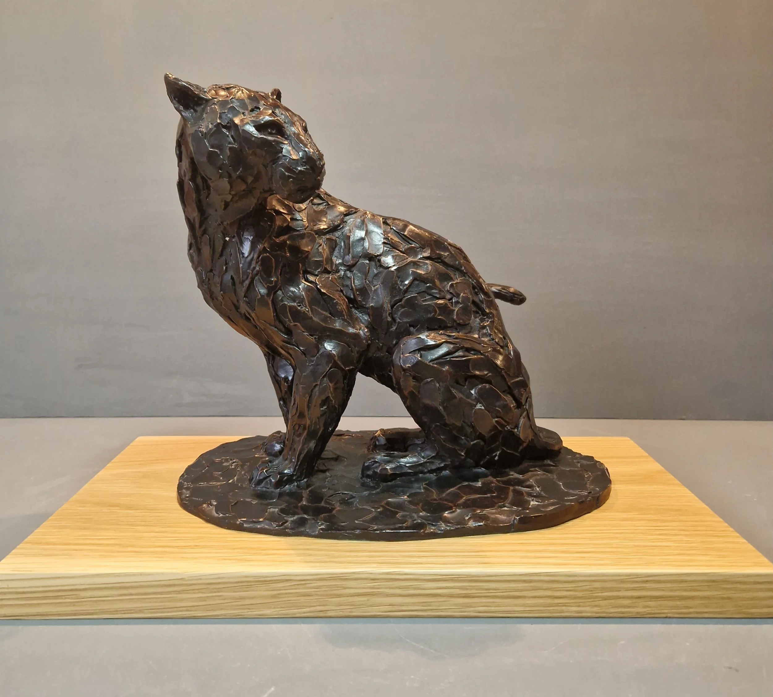 bronze cat update sitting.jpg