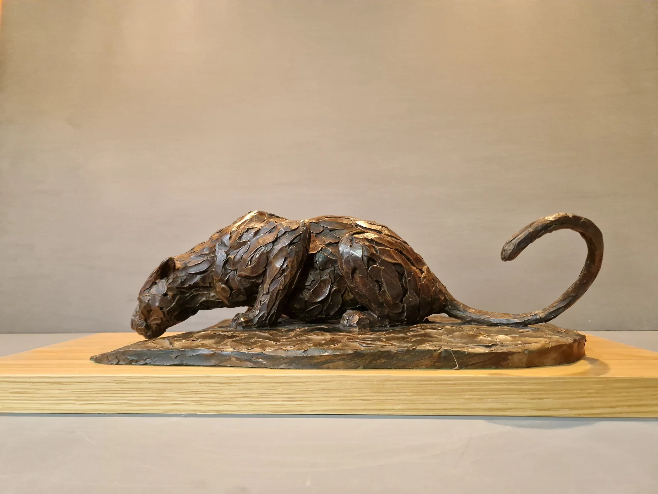 bronze cat side.jpg