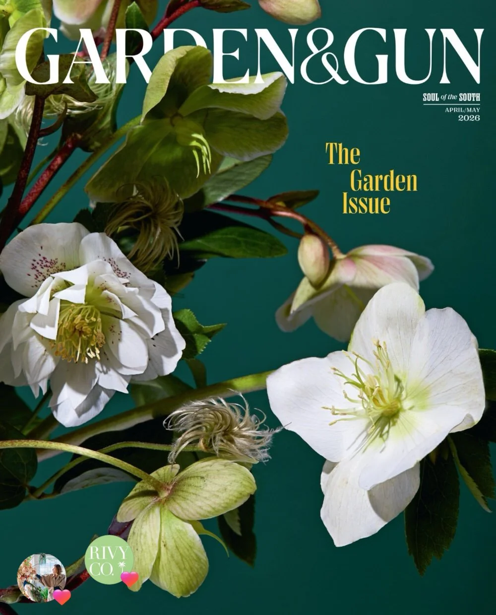 lucy-the-flower-hunter-garden-and-gun-magazine-floral-painting-wallpapers-cloth-fabrics-linen-grasscloth-interior-design