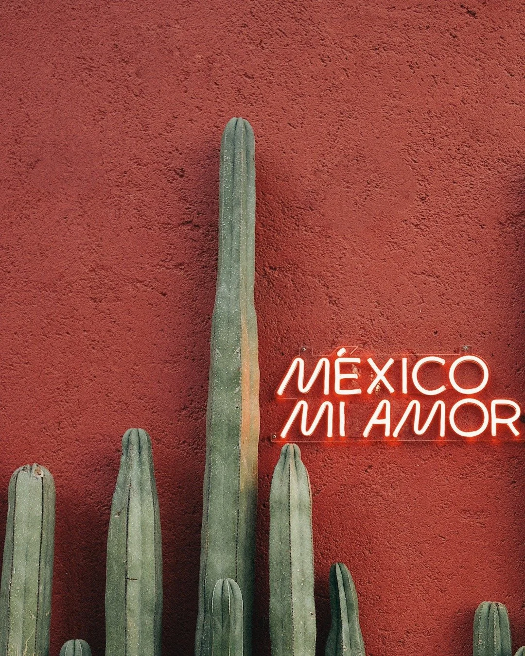 M&eacute;xico, mi amor.
Sun-warmed walls, slower afternoons, and the kind of beauty that lingers long after you leave.

Stay at Rae&rsquo;s &darr;
raestulum.com
&mdash;
#RaesTulum #MexicoLuxury #QuietLuxury