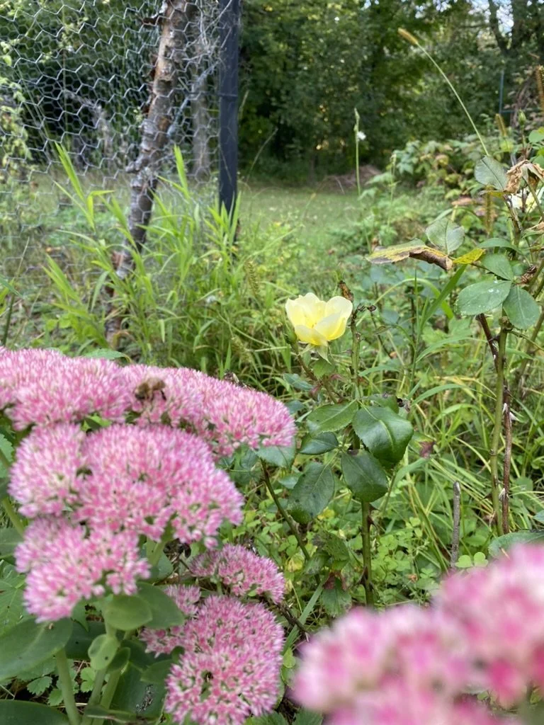 Embracing the Autumn Equinox: 
