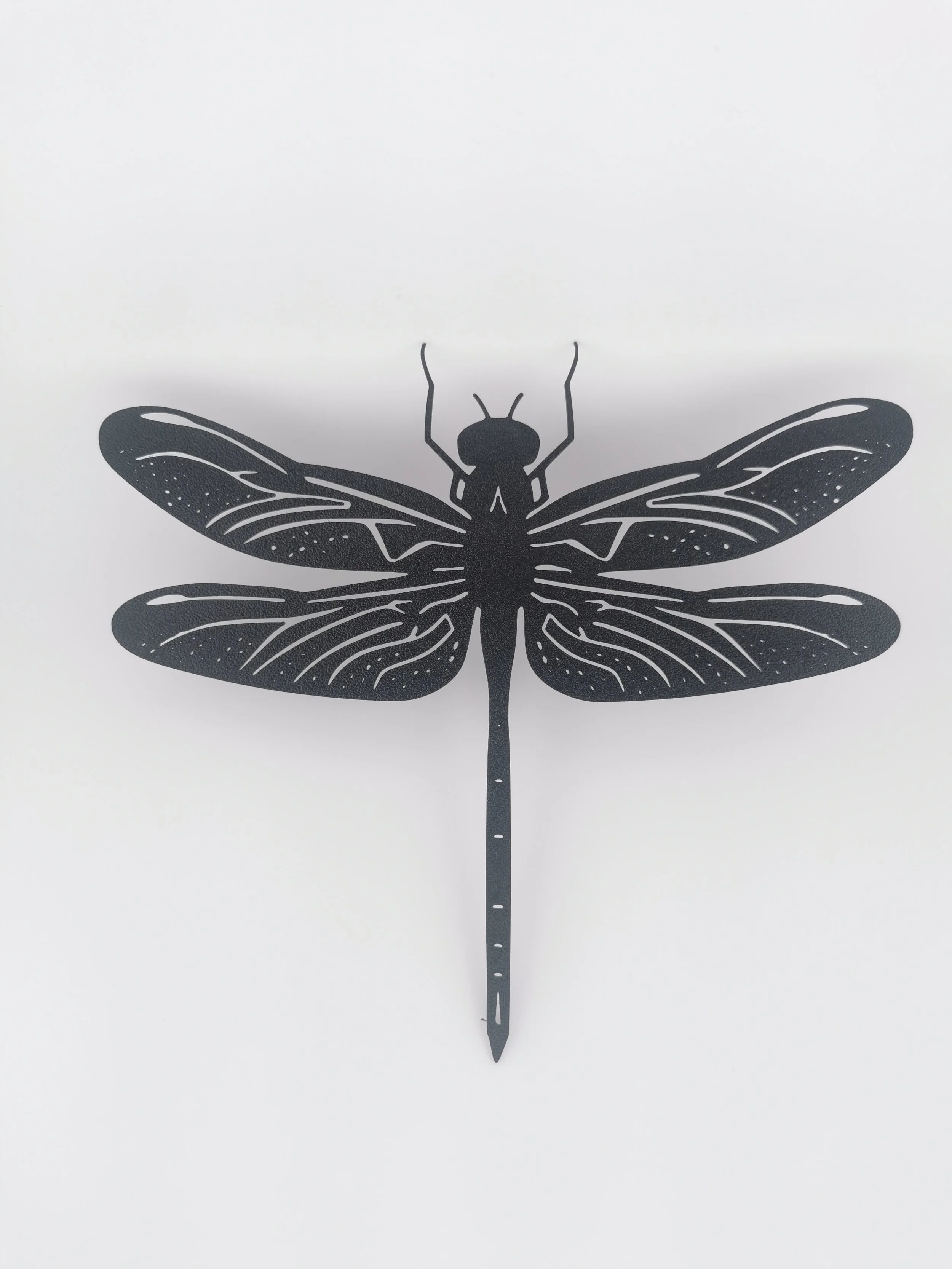 Dragonfly Picture 2.jpg