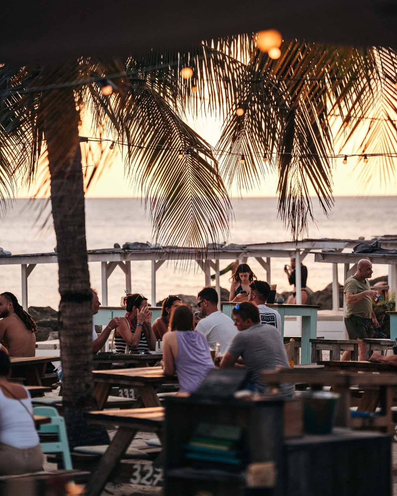There&rsquo;s no better place to unwind than under the palms at Zest
 
#beachsunset #oceanview #janthielbeach #curacao #beachlife #restaurant #beach #lifeisbetteronthebeach #dushi #zestcuracao #zestbeachcafe