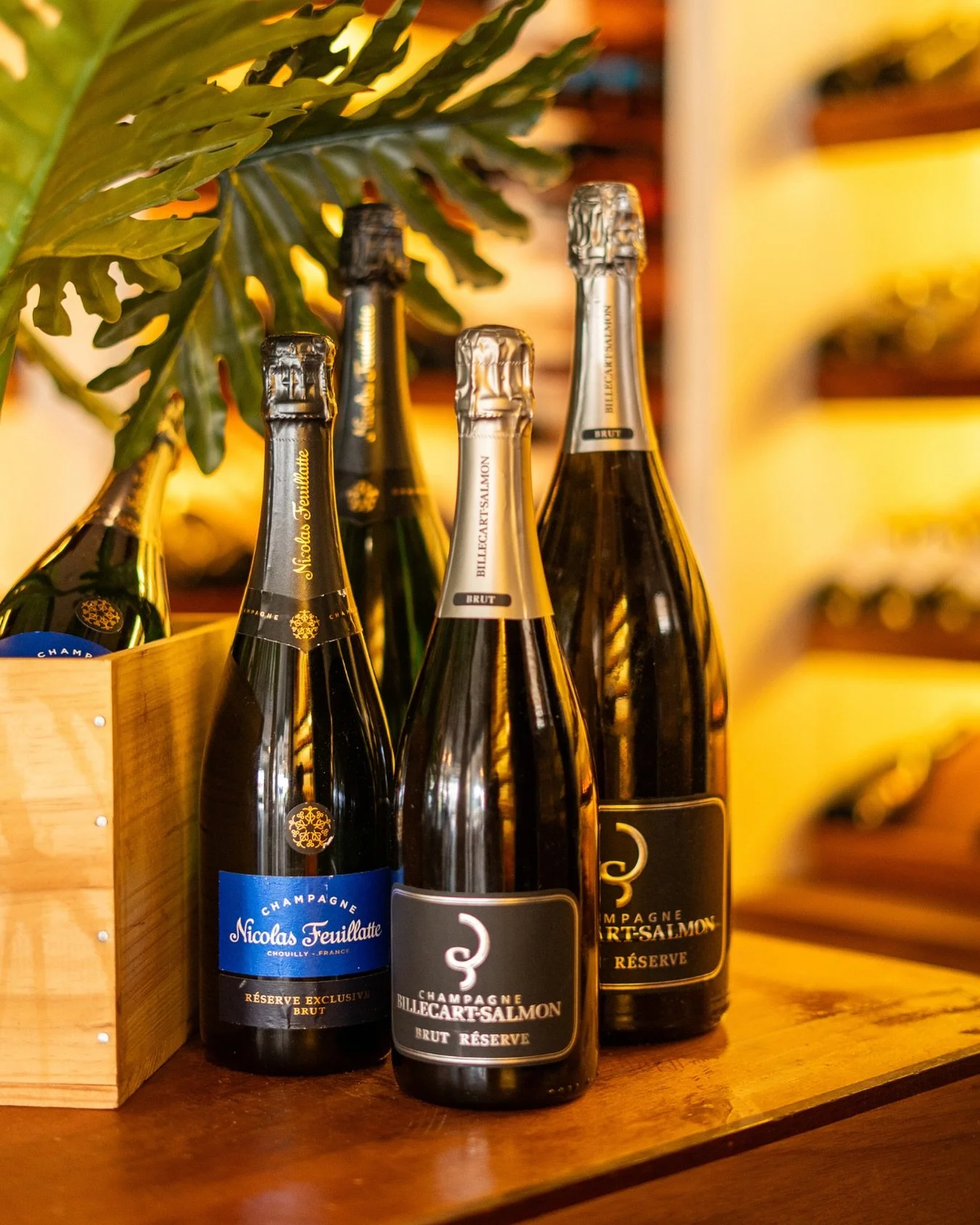 Life&rsquo;s better with champagne &mdash; and we&rsquo;ve got your favorite bottle chilled.

#dinner #curacaoisland #curacao #island #zestrestaurant #caribbean #janthiel #janthielbeach #atthebeach