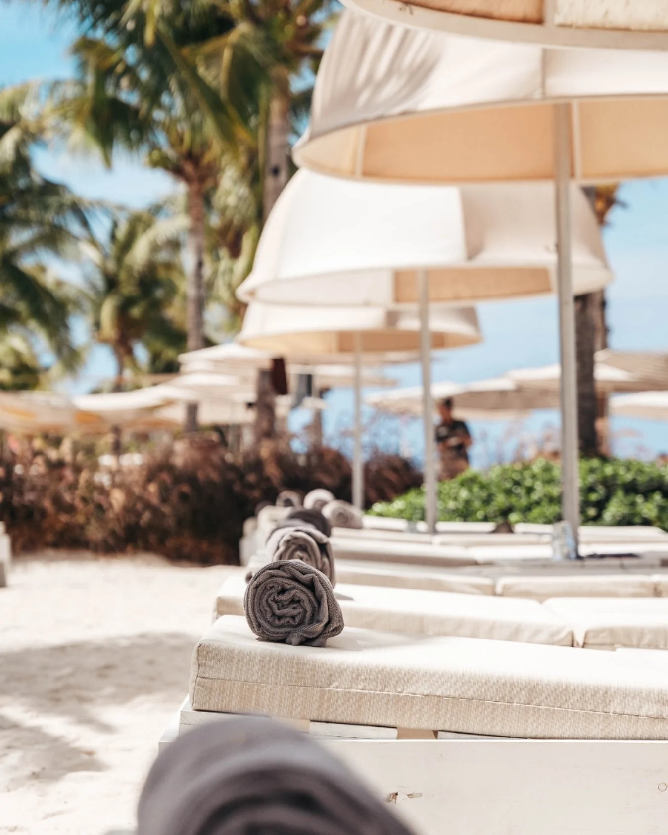 All set for the perfect beach day. Come lounge with us at Zest!

#beachsunset #oceanview #janthielbeach #curacao #beachlife #restaurant #beach #lifeisbetteronthebeach #dushi #zestcuracao #zestbeachcafe
