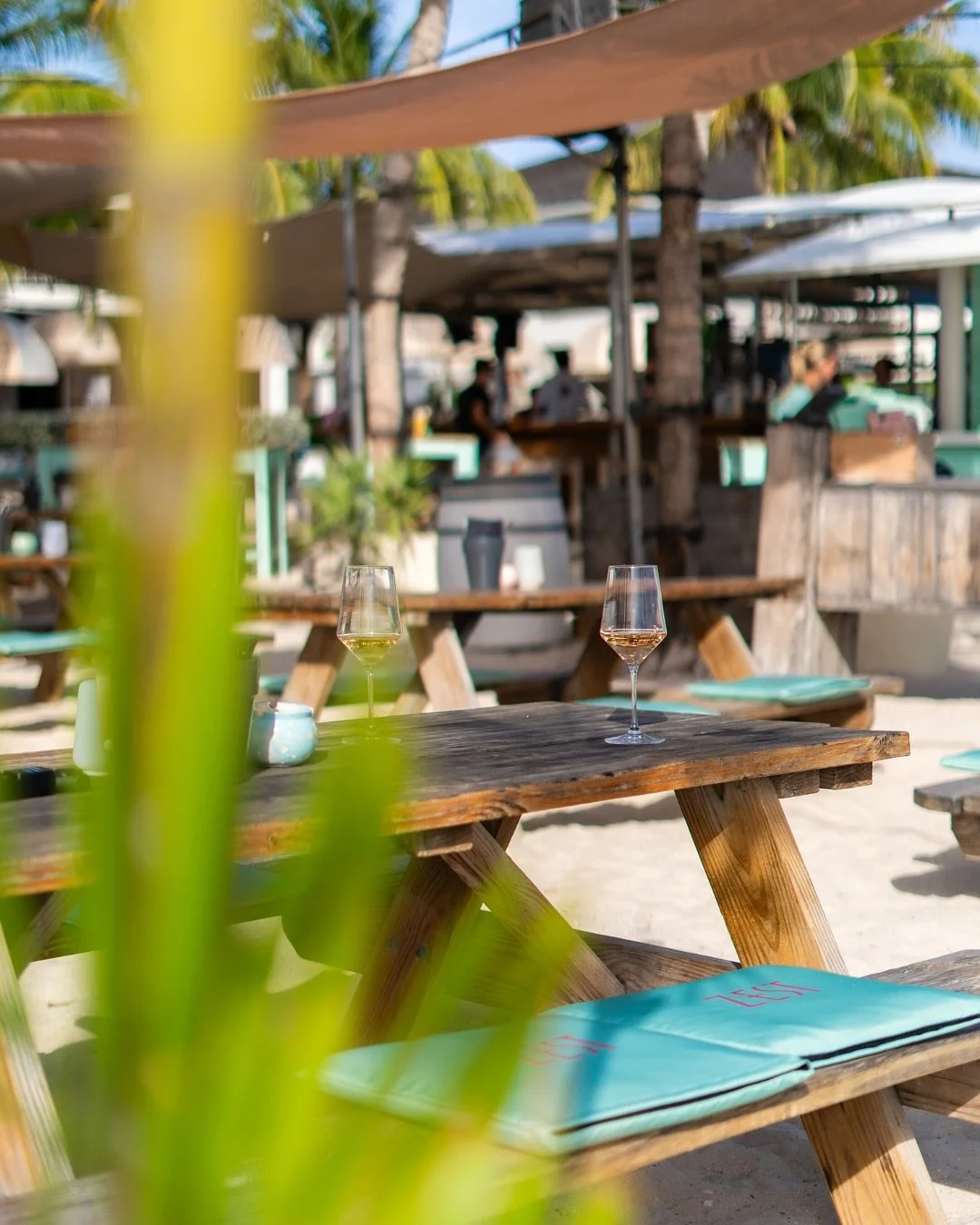 Sip by the sea. At Zest Beach Caf&eacute;!

#beachsunset #oceanview #janthielbeach #curacao #beachlife #restaurant #beach #lifeisbetteronthebeach #dushi #zestcuracao #zestbeachcafe