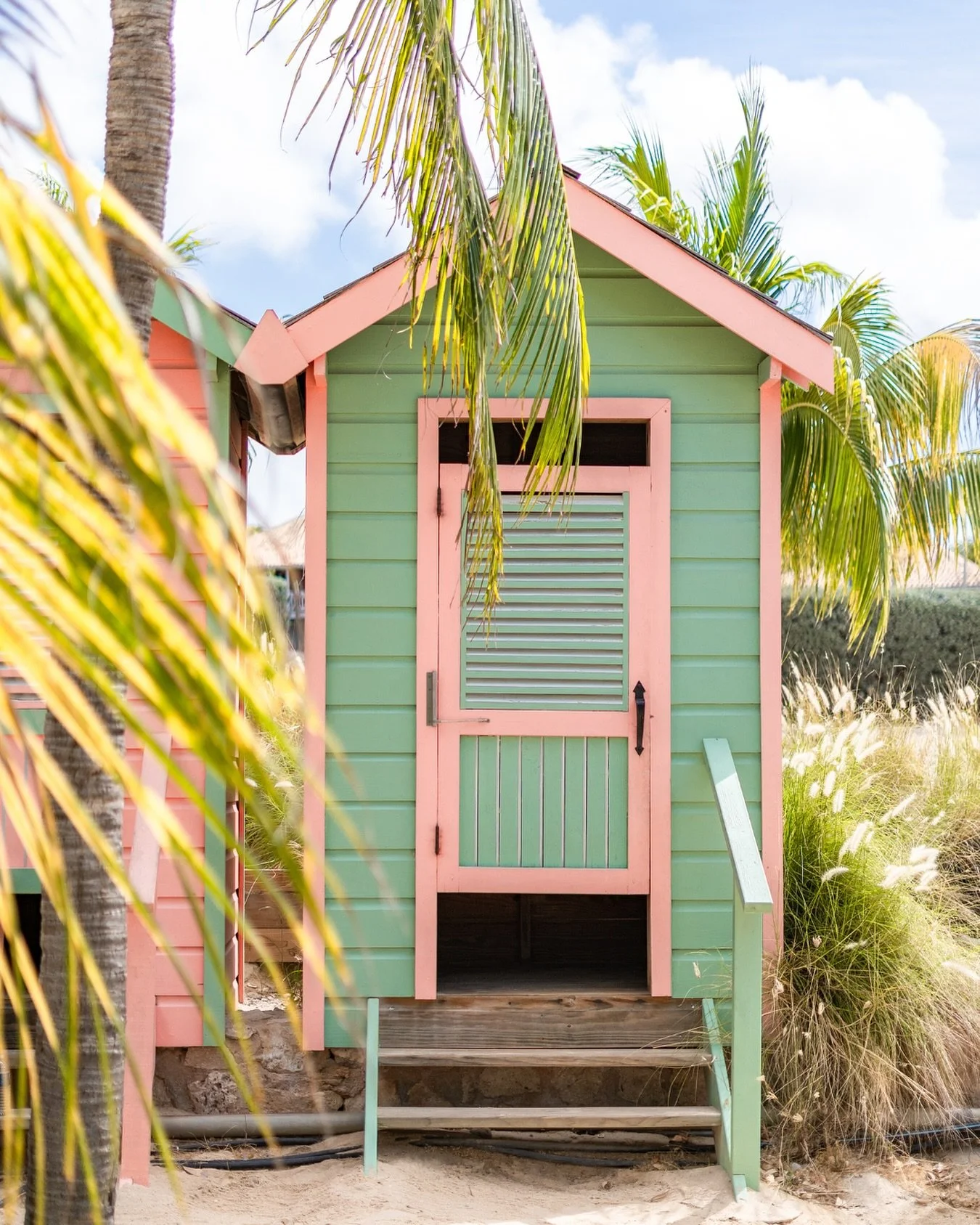Ready for a tropical escape? 
#oceanview #sunandsand #janthiel #kokoscuracao #relaxedatthebeach #mindfullday #healthyfood #kokosjanthiel #relaxedatkokos