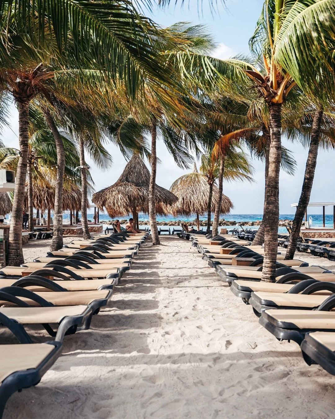 This is where your out-of-office should take you&hellip;

#curacaoisland #curacao #beachlife #restaurant #beach #lifeisbetteronthebeach #dushi #brasabeer #zanzibarcuracao #janthielbeach #zanzibarbeach