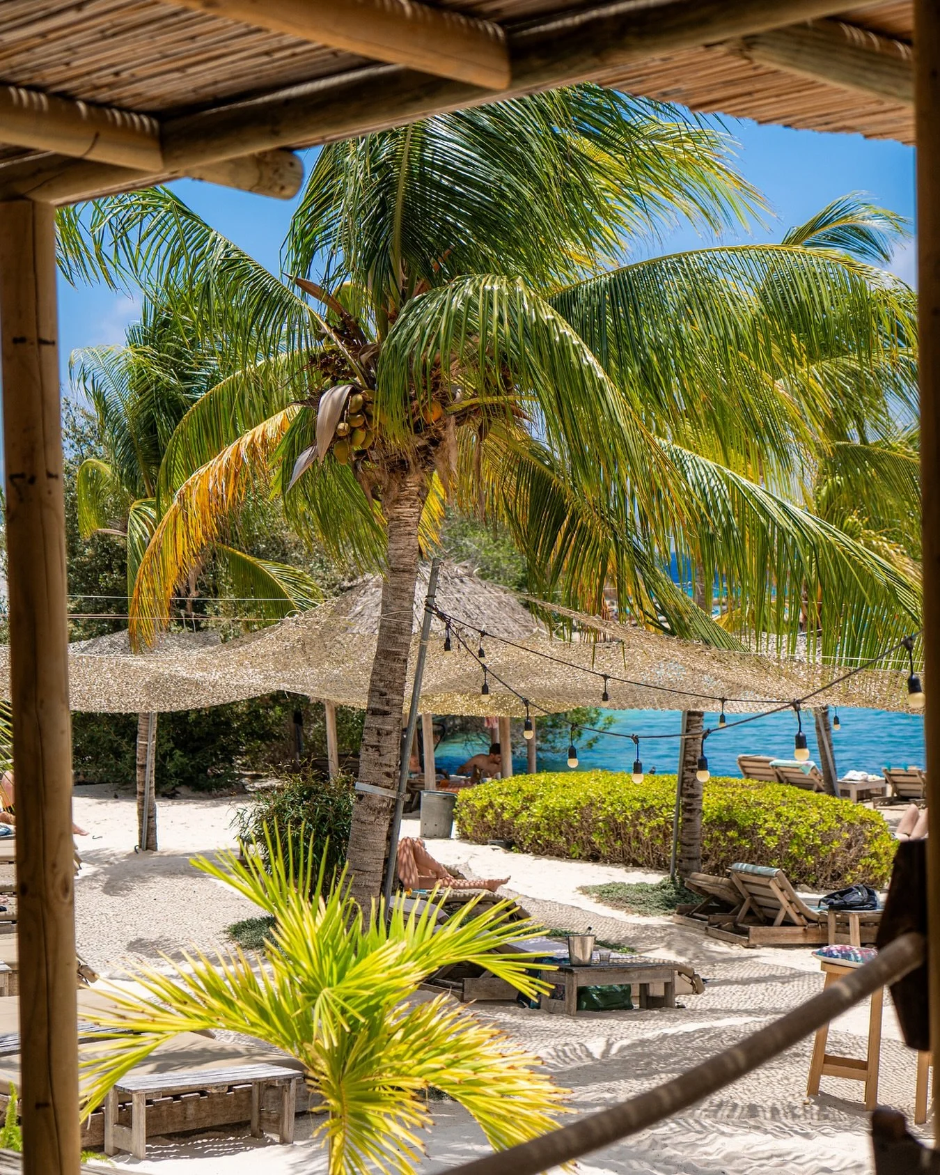 This is where slow mornings turn into golden afternoons.
#oceanview #sunandsand #janthiel #kokoscuracao #relaxedatthebeach #mindfullday #healthyfood #kokosjanthiel #relaxedatkokos