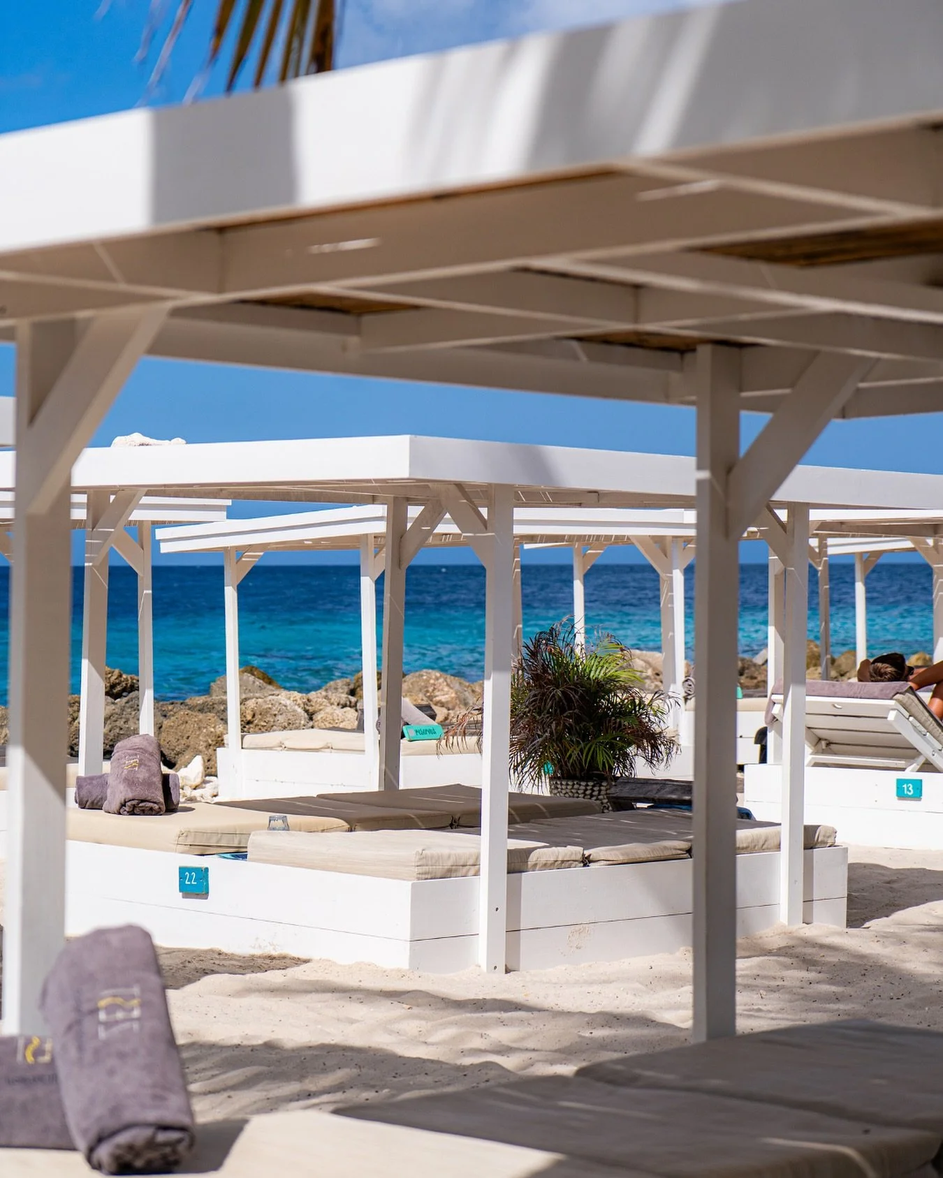 This is what pure beach luxury looks like at Zest. 

#beachsunset #oceanview #janthielbeach #curacao #beachlife #restaurant #beach #lifeisbetteronthebeach #dushi #zestcuracao #zestbeachcafe