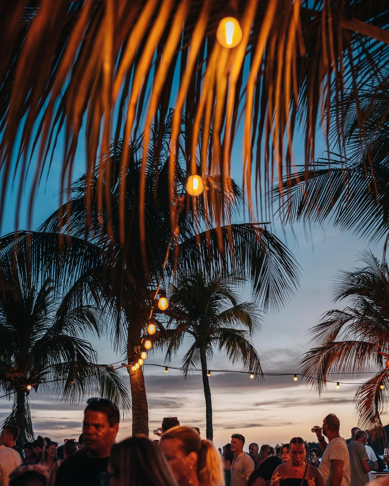 Beach nights under the palms you&rsquo;ll never forget. 

 #curacaoisland #curacao #beachlife #restaurant #beach #lifeisbetteronthebeach #dushi #brasabeer #zanzibarcuracao #janthielbeach #zanzibarbeach