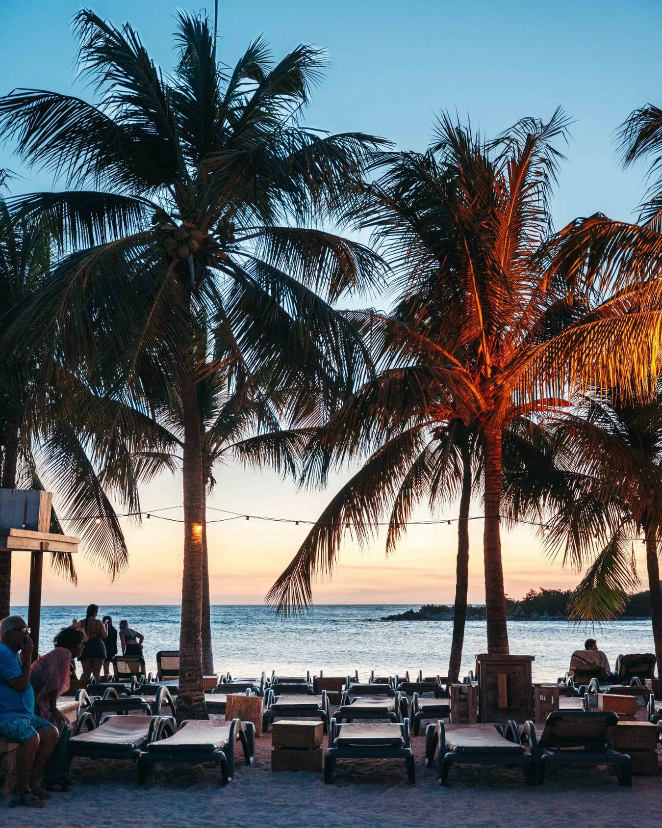 Christmas under the palm trees.

 #curacaoisland #curacao #beachlife #restaurant #beach #lifeisbetteronthebeach #dushi #brasabeer #zanzibarcuracao #janthielbeach #zanzibarbeach