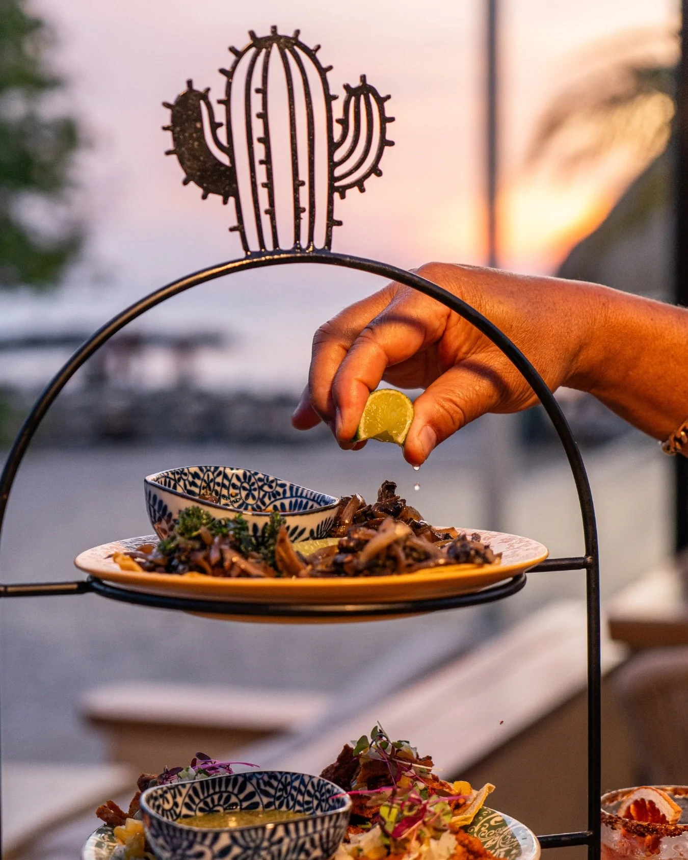 Golden hour tastes better with tacos.

#AgaveCuracao #TasteOfMexico #JanThielBeach #MexicanDinner #FoodExperience #TableMoments #AgaveCura&ccedil;ao