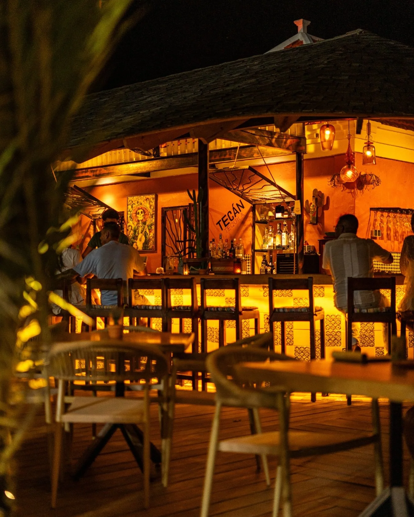 Come for the food, stay for the magic.

#AgaveCuracao #TasteOfMexico #JanThielBeach #MexicanDinner #FoodExperience #TableMoments #AgaveCura&ccedil;ao