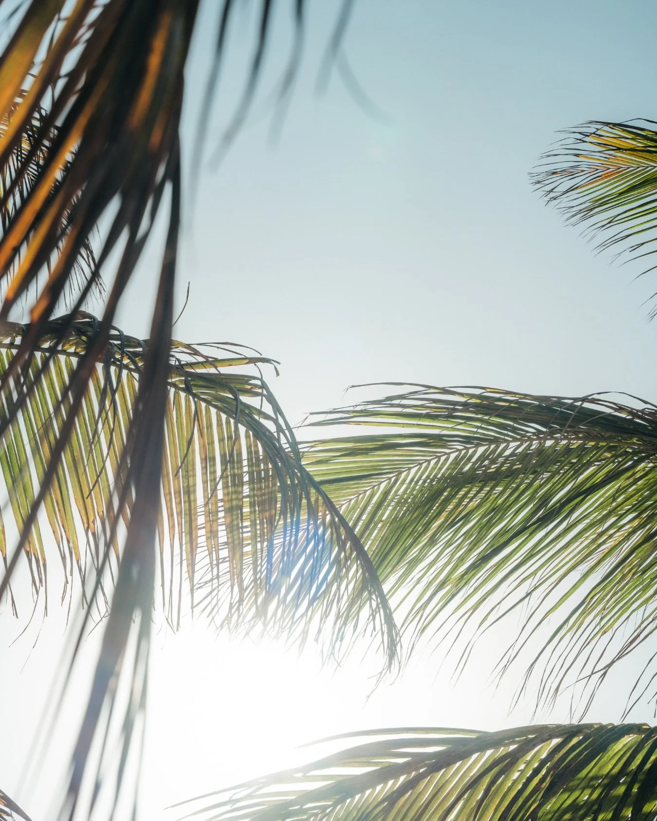 Front row seats to the ocean breeze.

#beachsunset  #janthielbeach #curacao