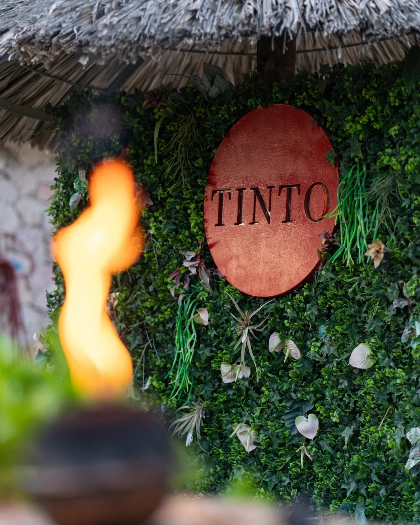 If you&rsquo;re here, you&rsquo;re in the right place.

#shareddining #tintobarycocina #janthielbeach
