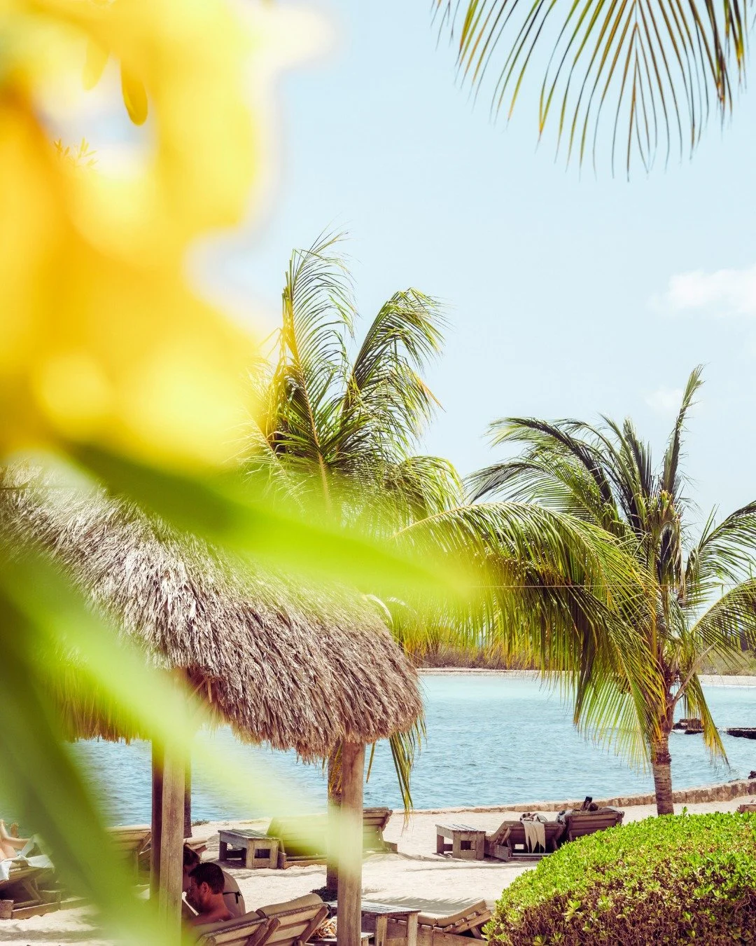 The view you&rsquo;ll keep thinking about.

#oceanview #sunandsand #janthiel #kokoscuracao #relaxedatthebeach #mindfullday #healthyfood #kokosjanthiel #relaxedatkokos