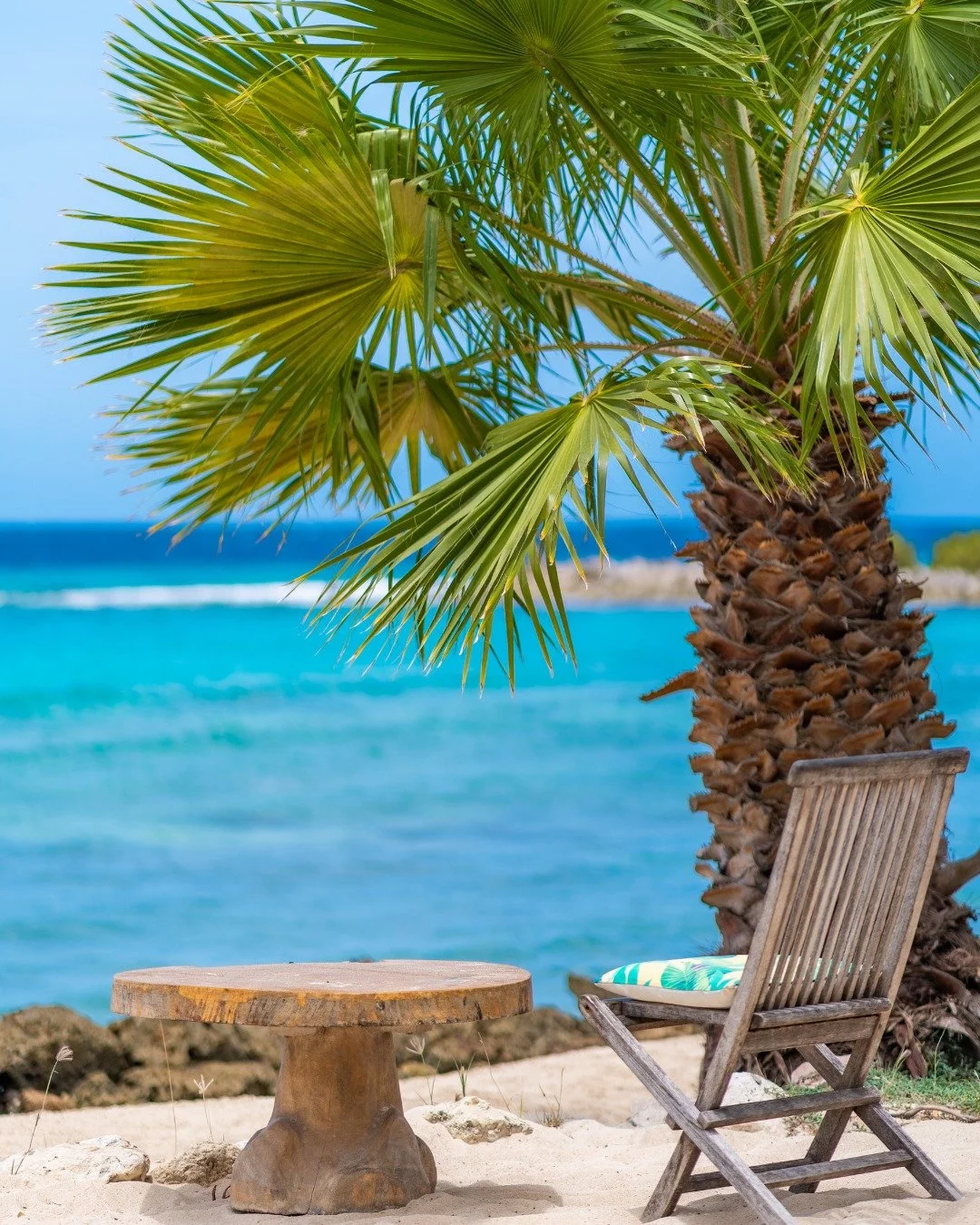 This is how beach days are meant to feel.

#oceanview #sunandsand #janthiel #kokoscuracao #relaxedatthebeach #mindfullday #healthyfood #kokosjanthiel #relaxedatkokos