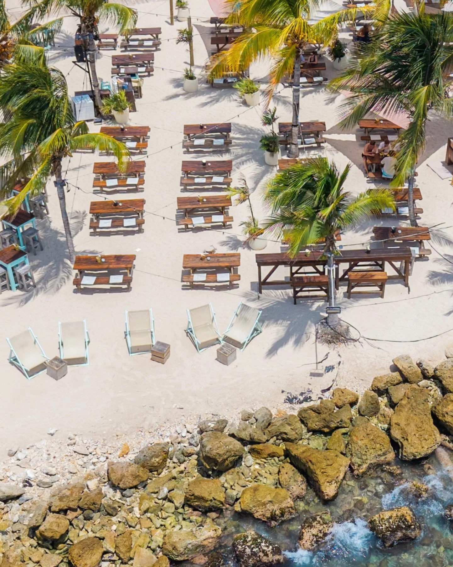 Your beach day looks even better from up here. Find your spot at Zest and make the most of it.

#beachsunset #oceanview #janthielbeach #curacao #beachlife