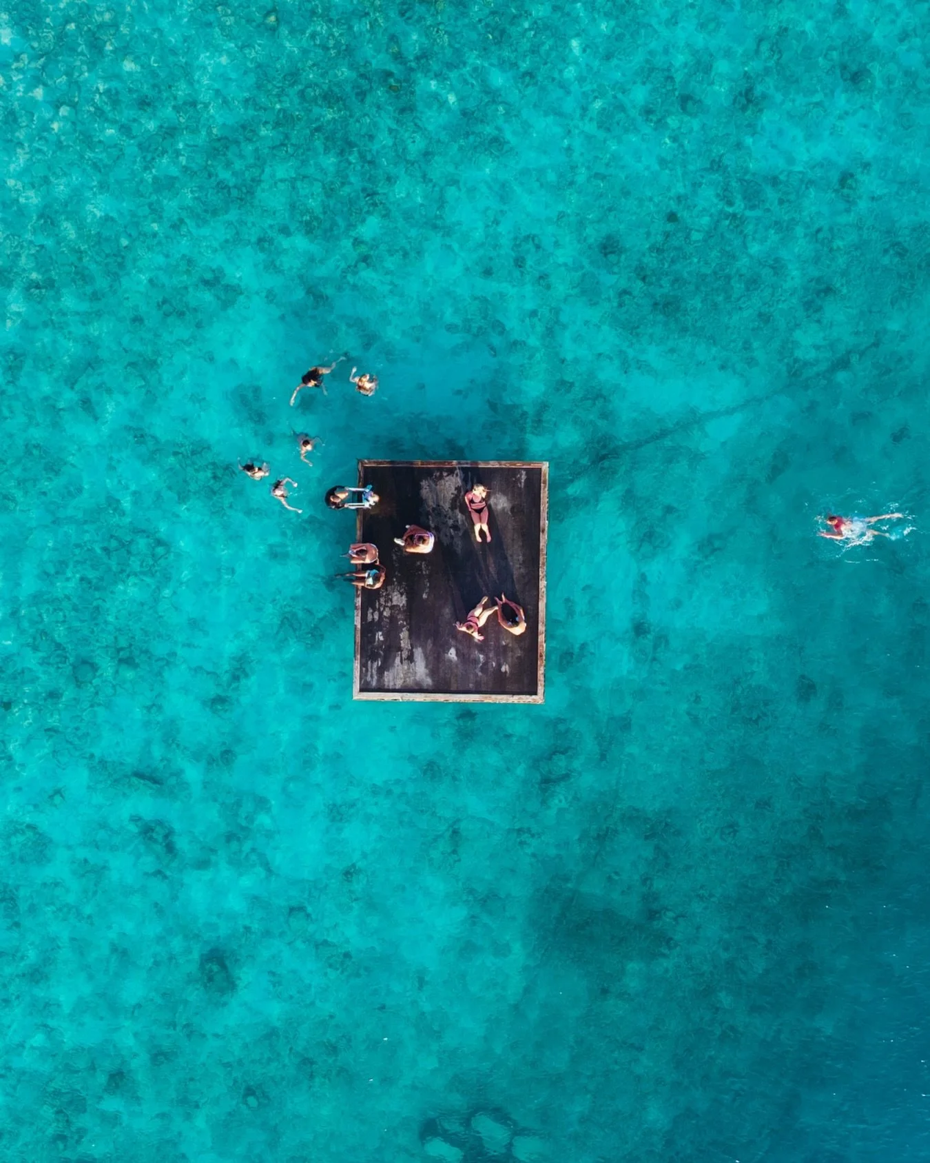 Floating in the middle of all that blue! Not a bad place to spend your Thursday, right?