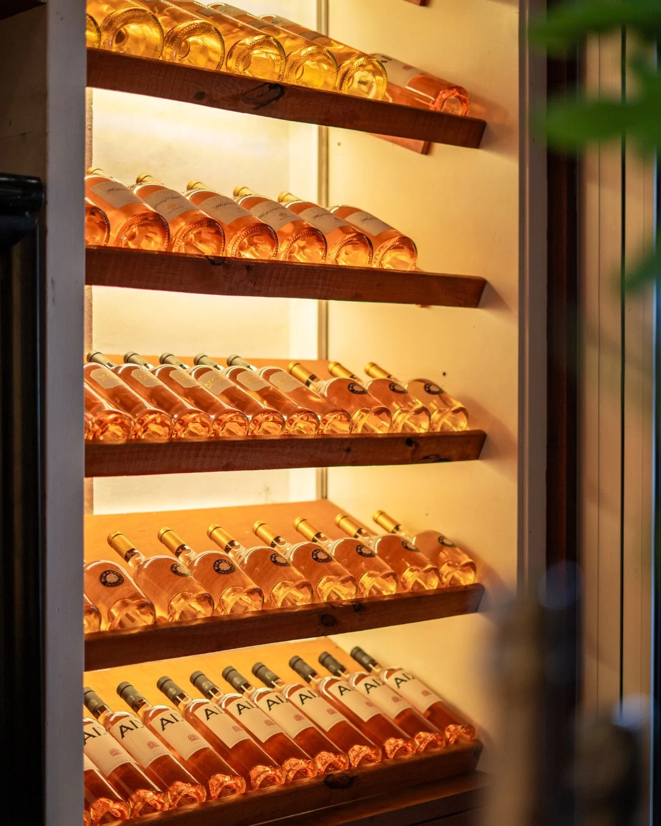If you needed a sign to order the ros&eacute;, this is it! Cold, tasteful, and ready for your dinner at Zest