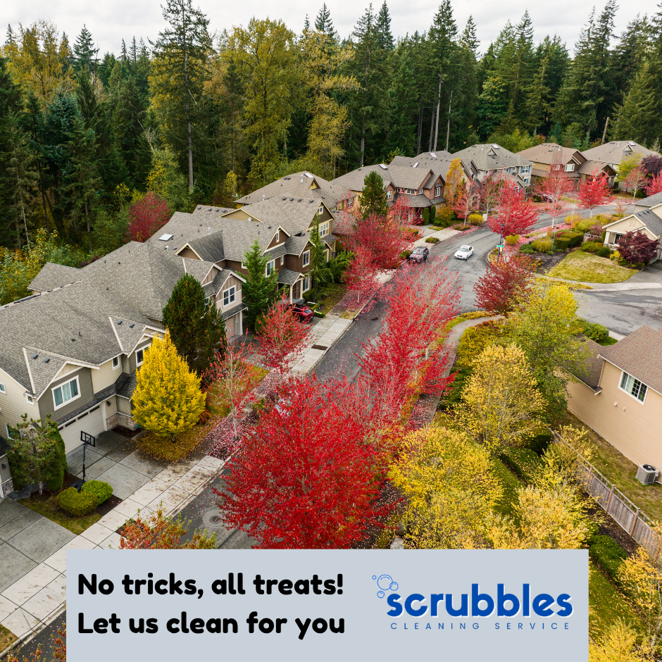 Neighborhood with colorful fall leaves, ad for Scrubbles home cleaning Gig Harbor