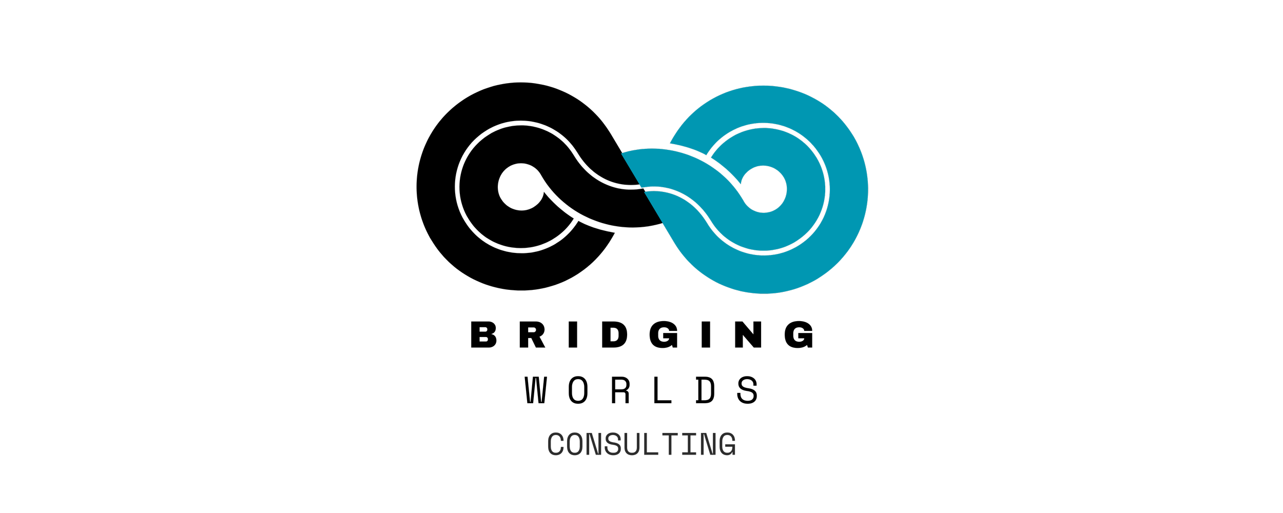 Bridging Worlds Consulting