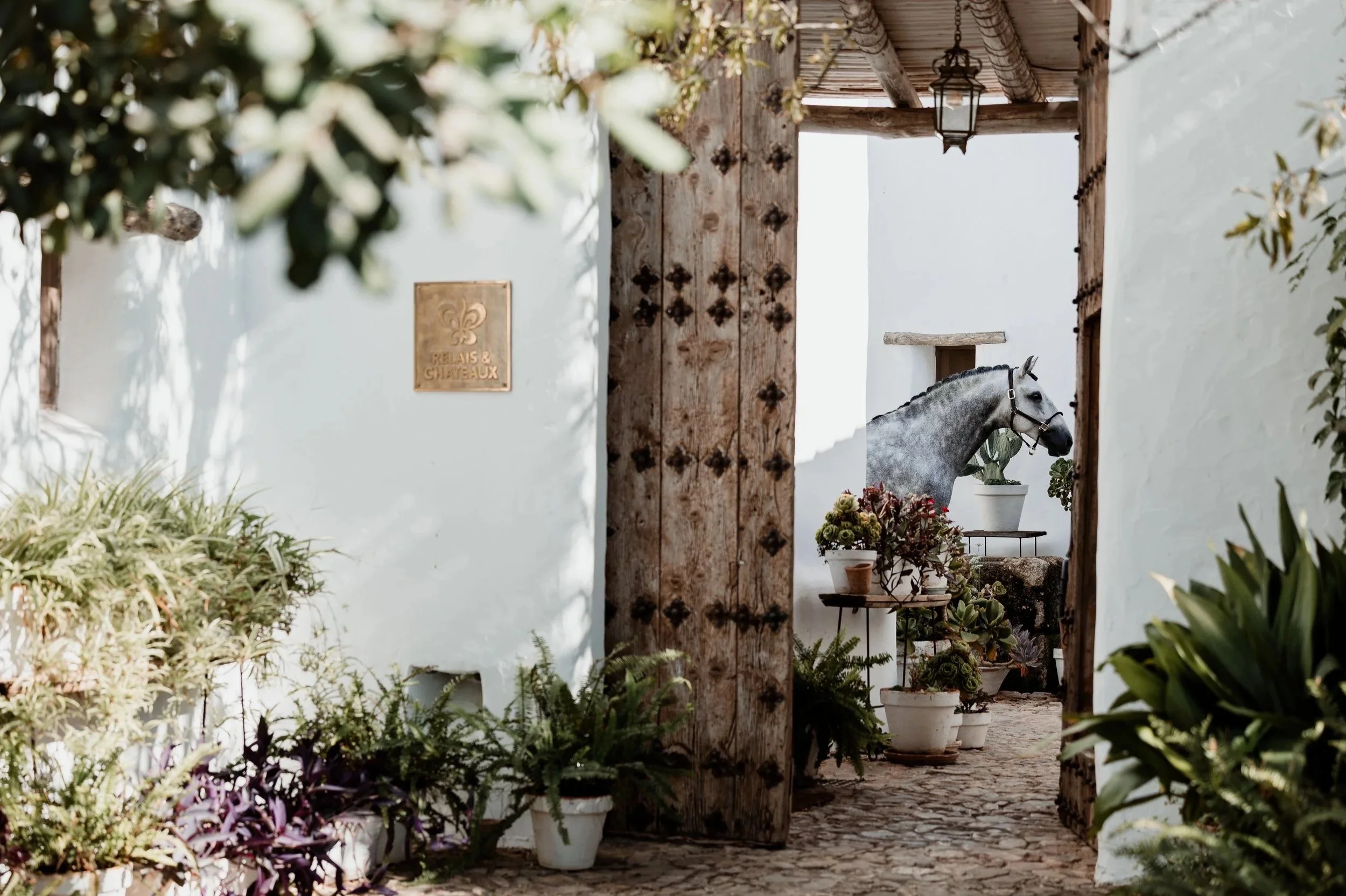 La Donaira, Awarded at the World Travel Awards, the “Oscars of International Tourism”