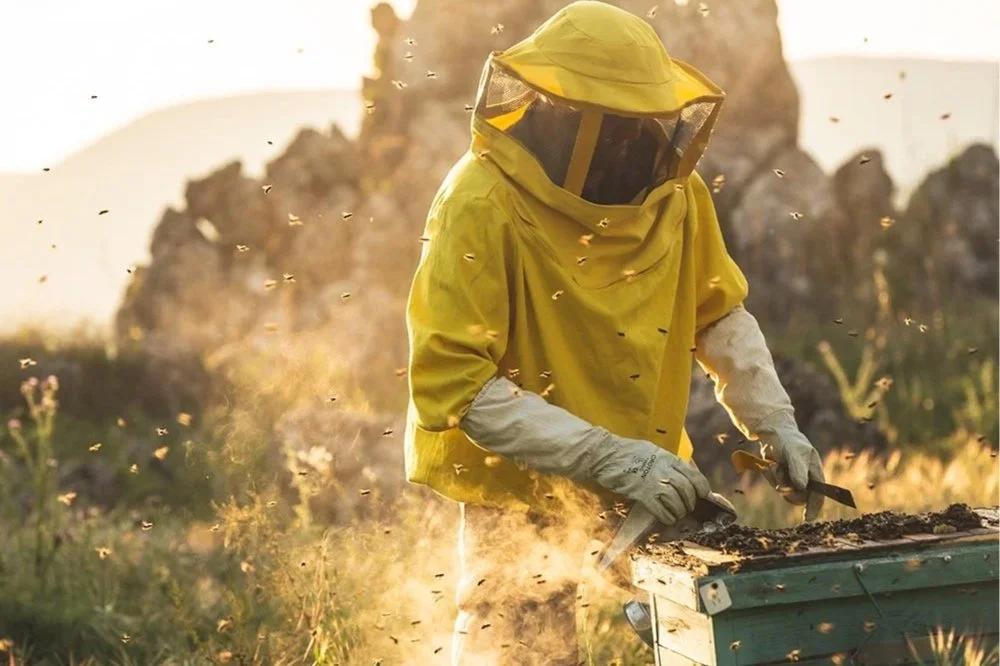 Help the Bees: Sustainable Beekeeping and Biodiversity at La Donaira