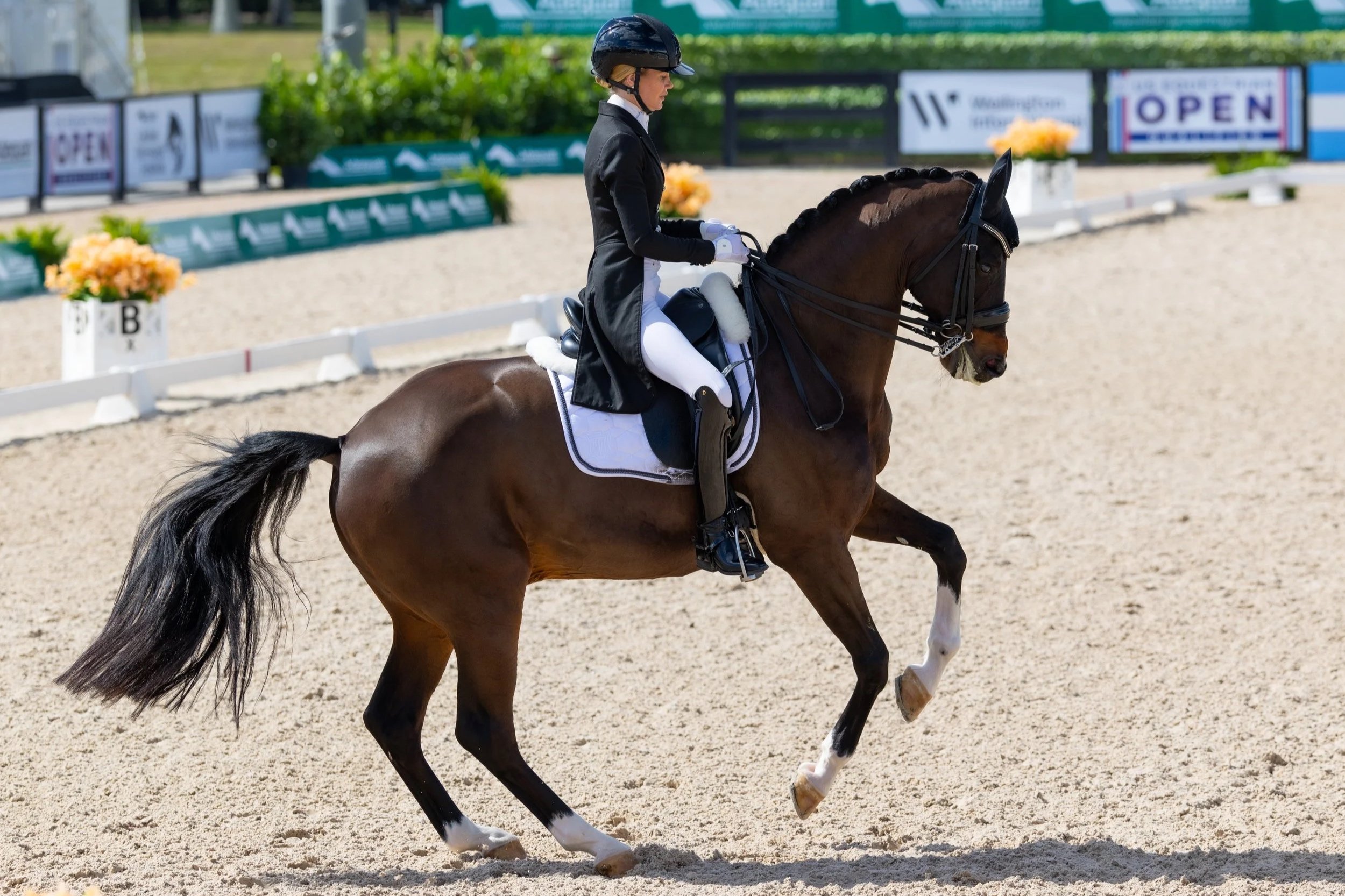 Global Dressage Festival | Florida