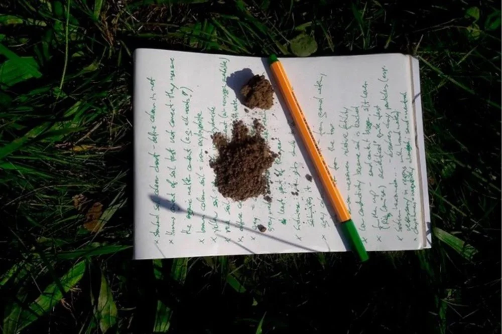 Understanding Soil Types: A Guide to Soil Texture and Gardening Success