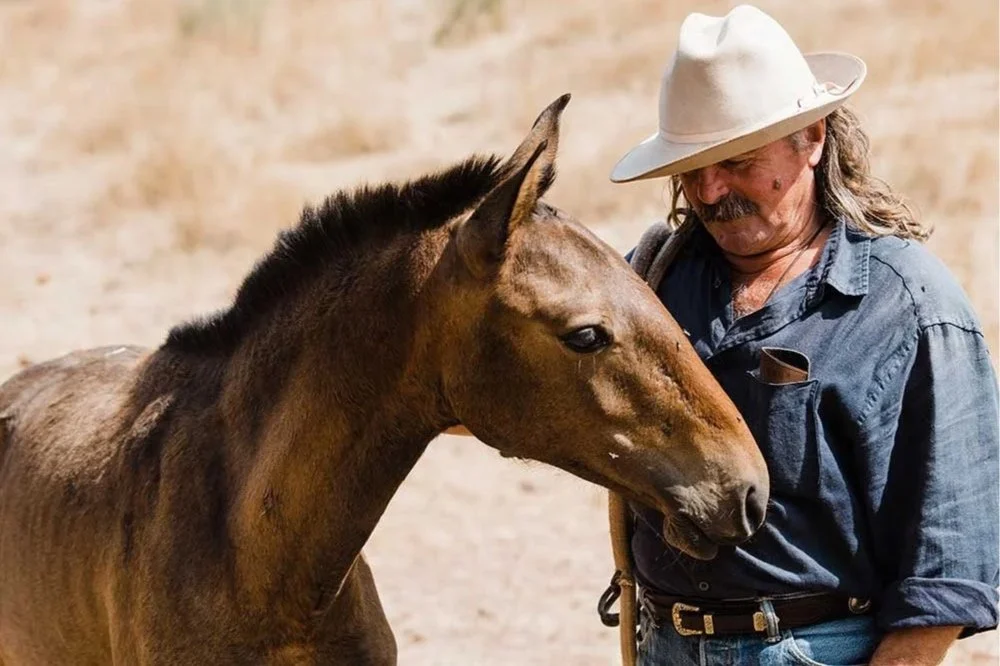 Seamus Gaffney: An Interview with La Donaira’s Cowboy and Horse Whisperer