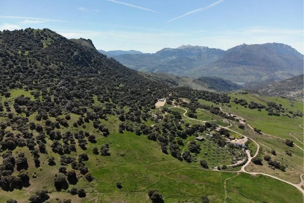 Celebrating sixty centuries of sustainable silvoculture