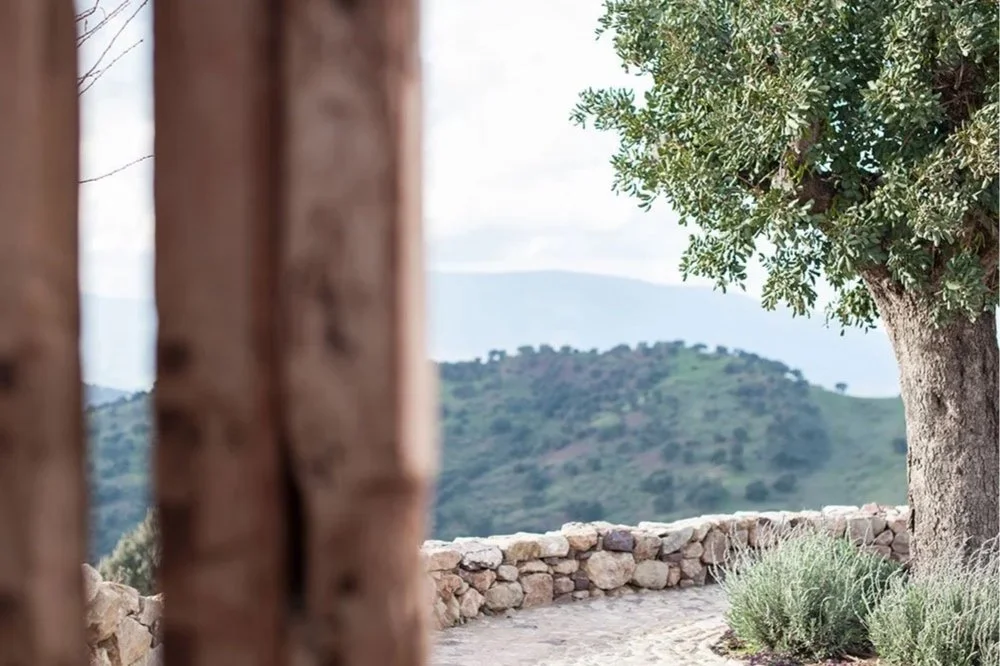 Let’s slow down and learn to live the good life 