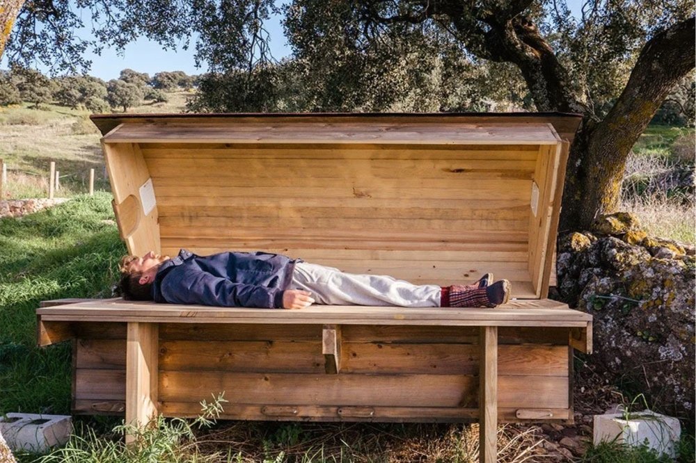 The heart of the forest