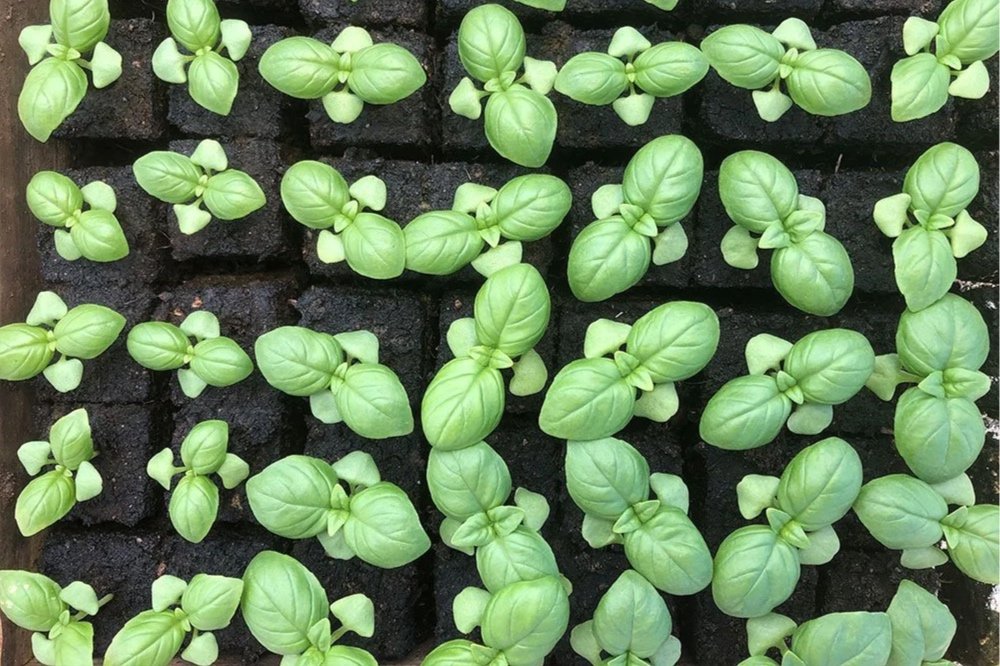 The tools of the trade