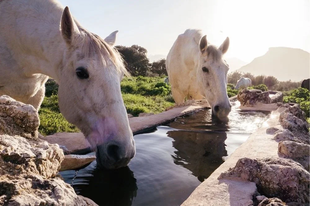 From the belly of the earth to the heart of the sun