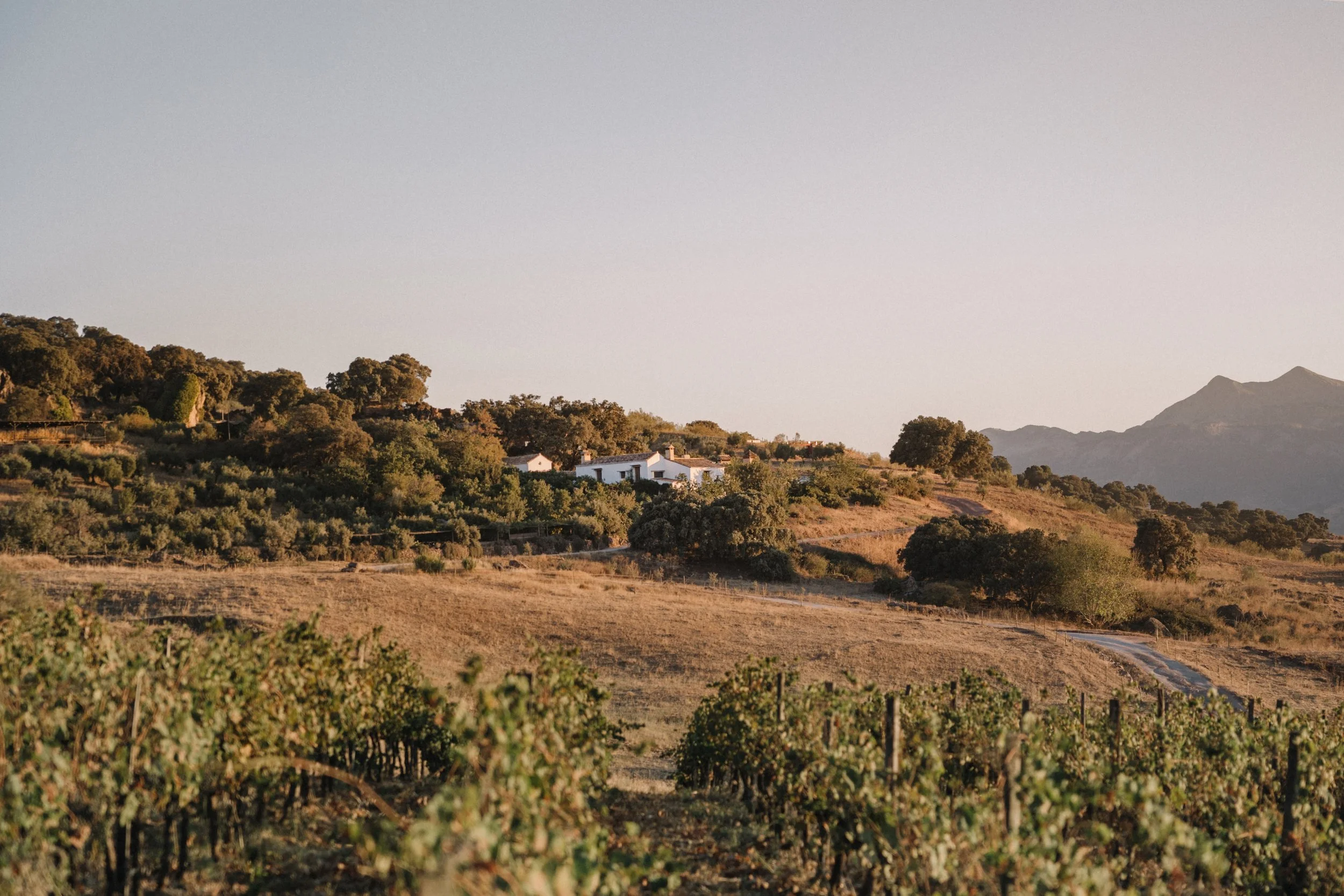 The Real Logistics of Seed-to-Fork: What Sourcing Everything from the Estate Actually Requires