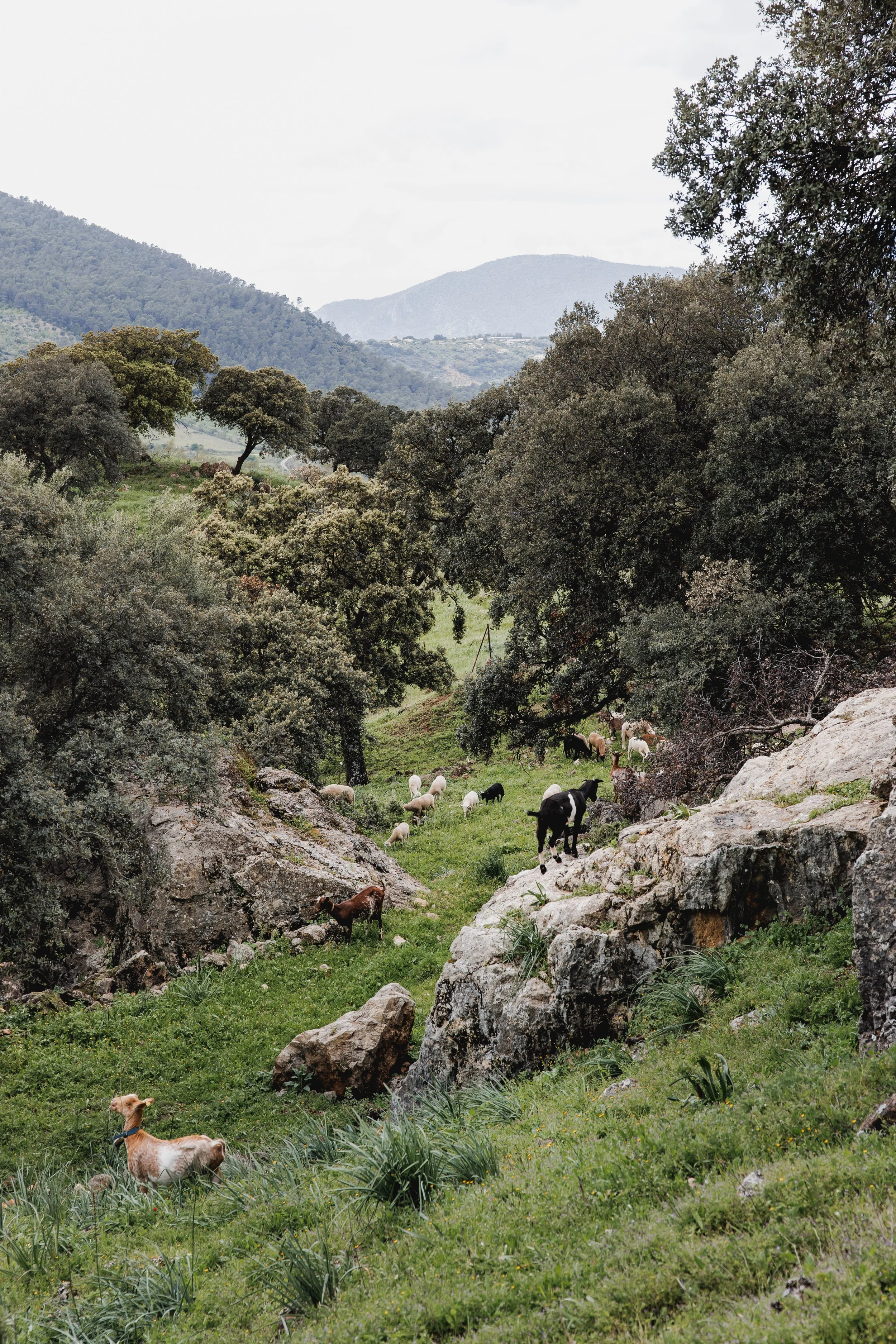 Finca La Donaira Breathwork