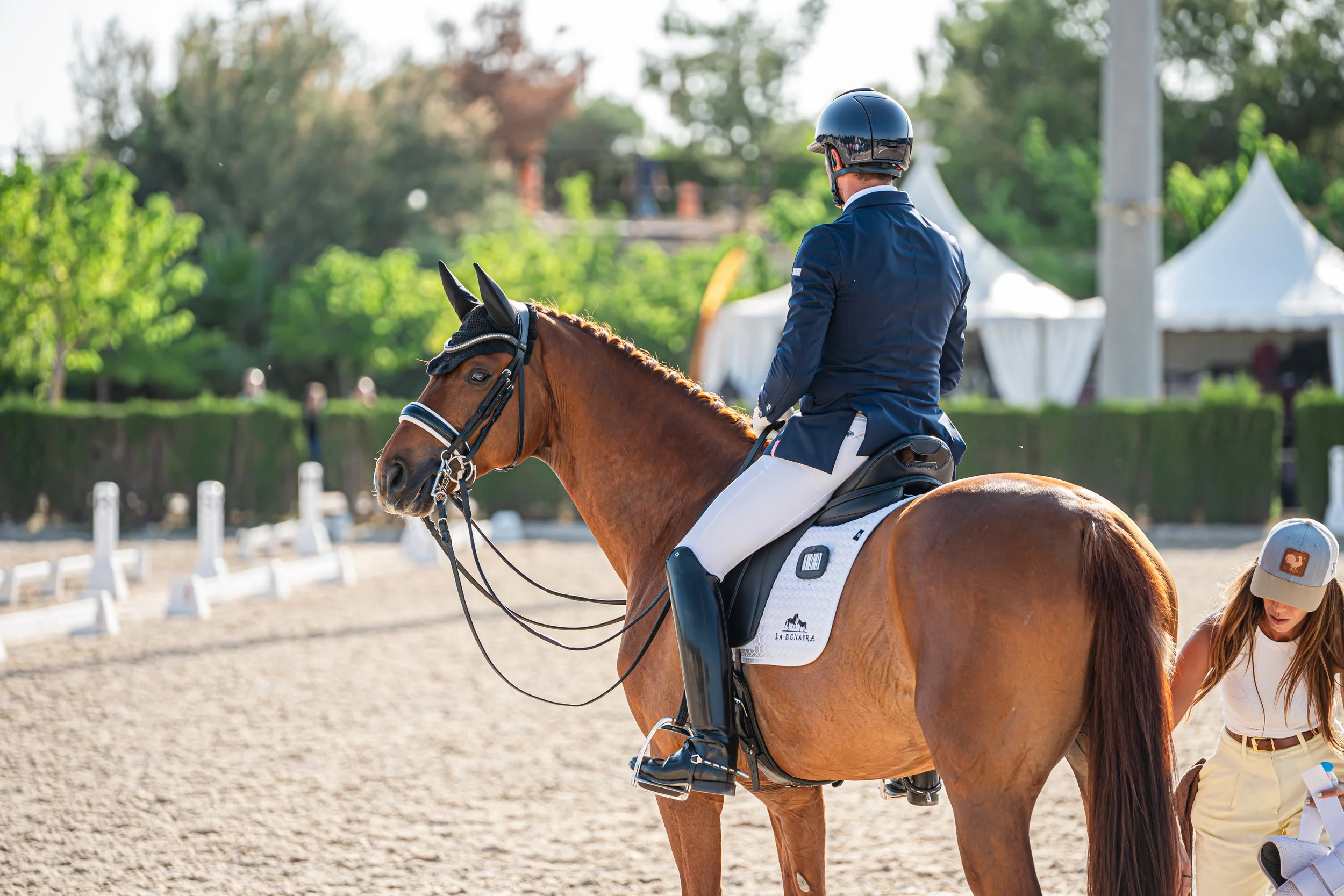 elvis-ld-bernat-barrachina-la-donaira-lusitanos-dressage.jpg