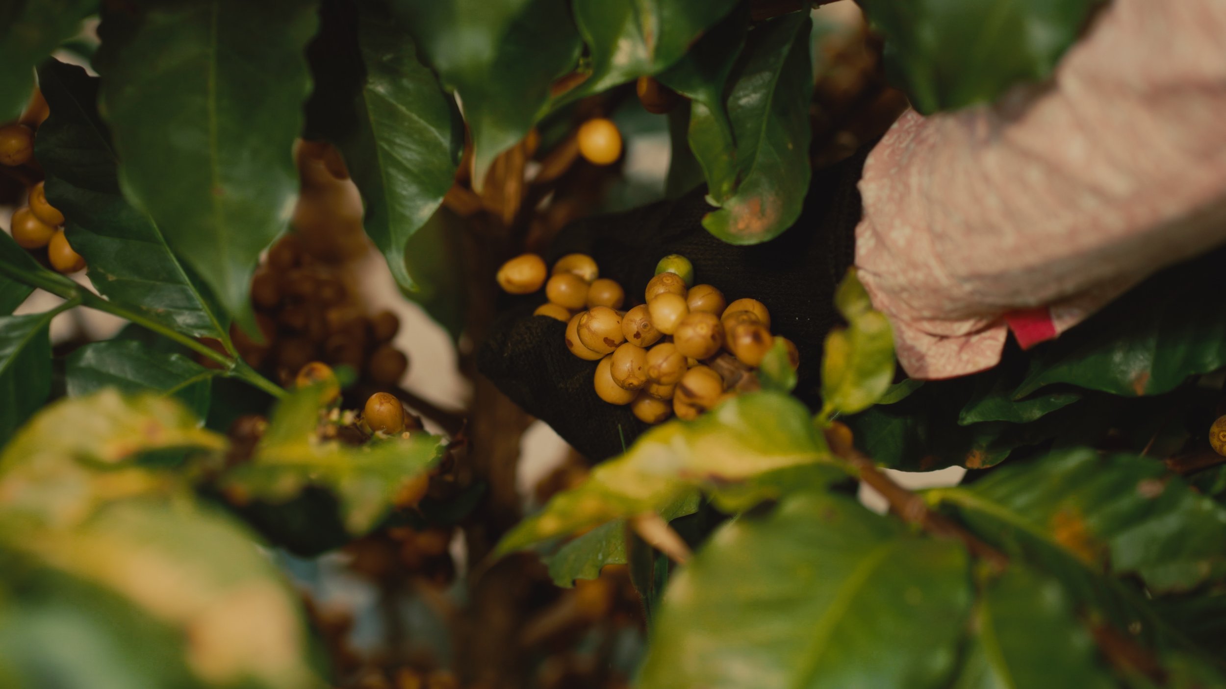 Timeline 4_01_13_33_12.jpg