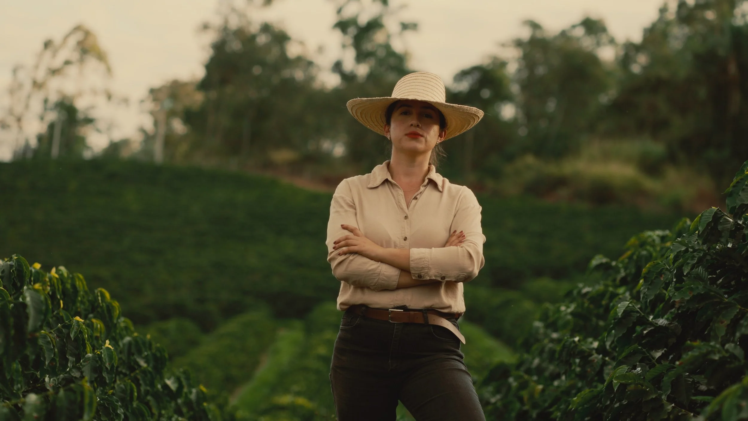 Timeline 4_01_33_19_02.jpg