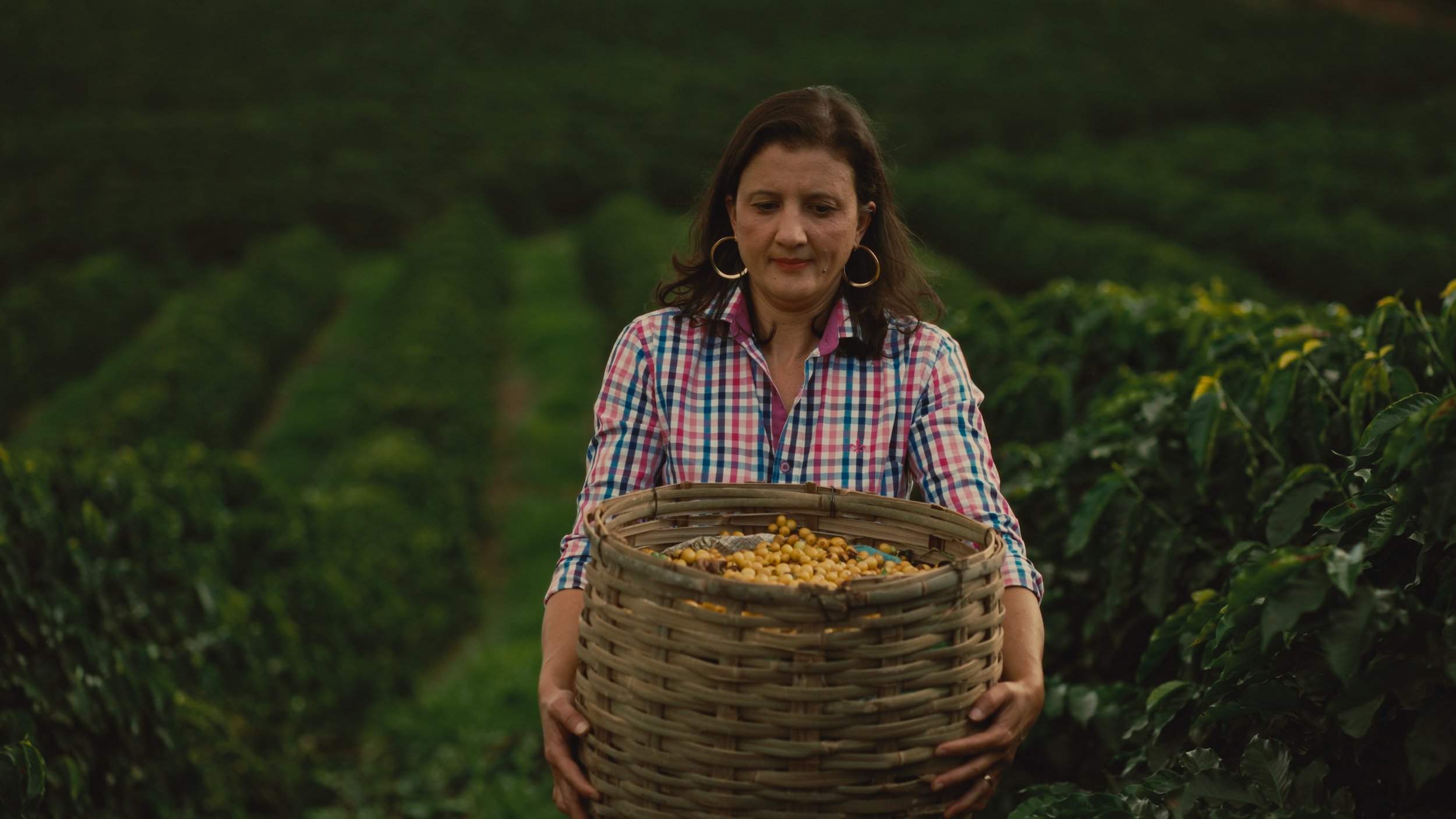 Timeline 4_01_38_13_06.jpg