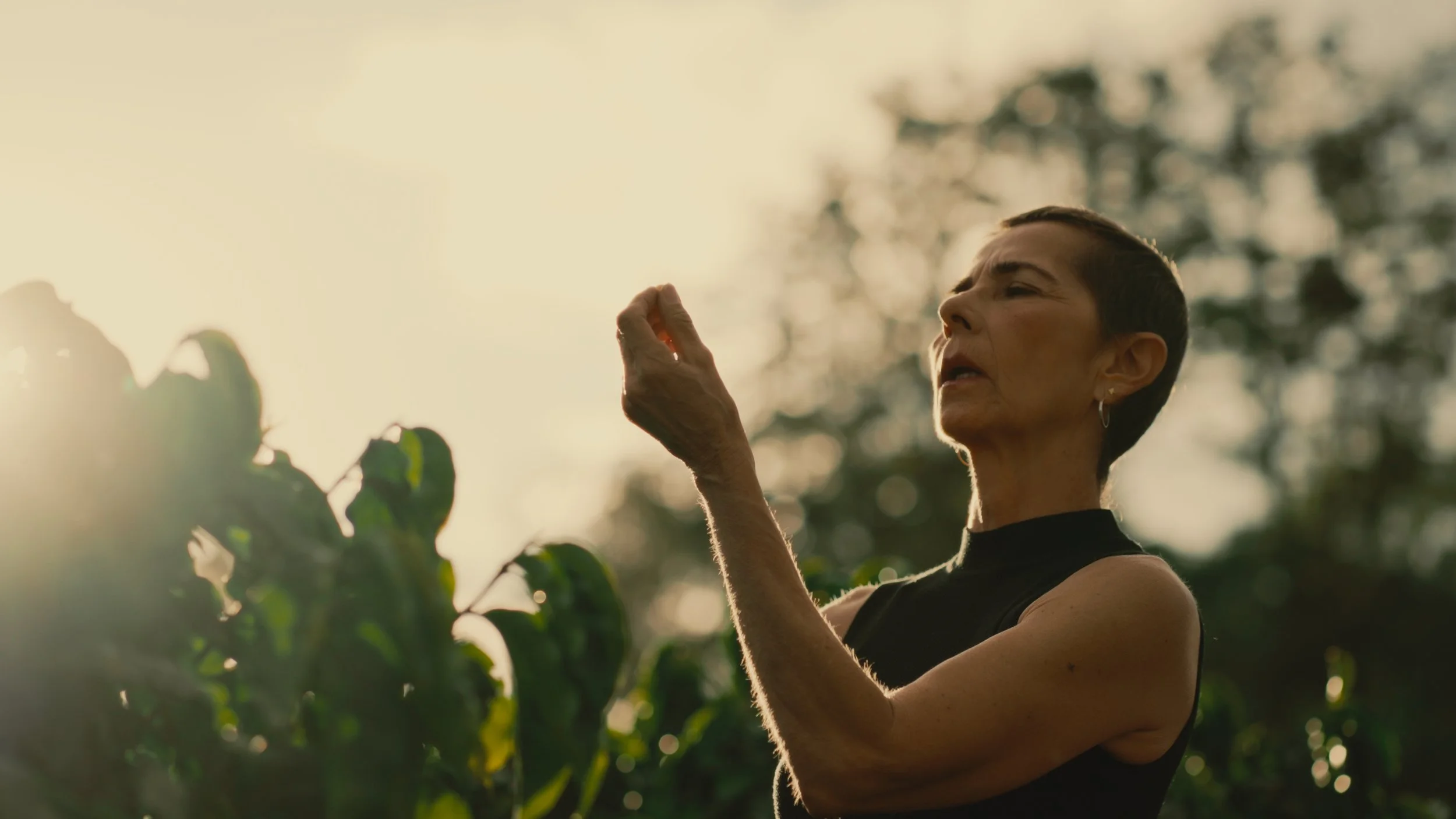 Timeline 4_01_28_45_02.jpg