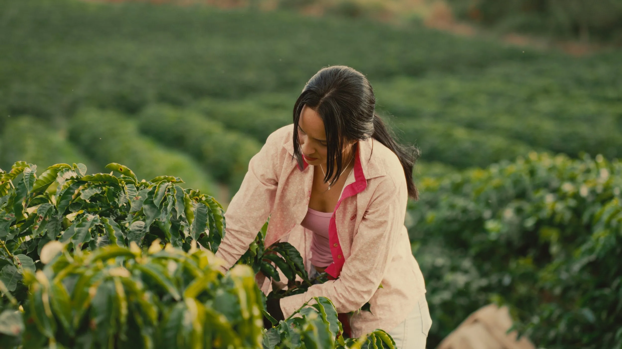 Timeline 4_01_15_41_02.jpg