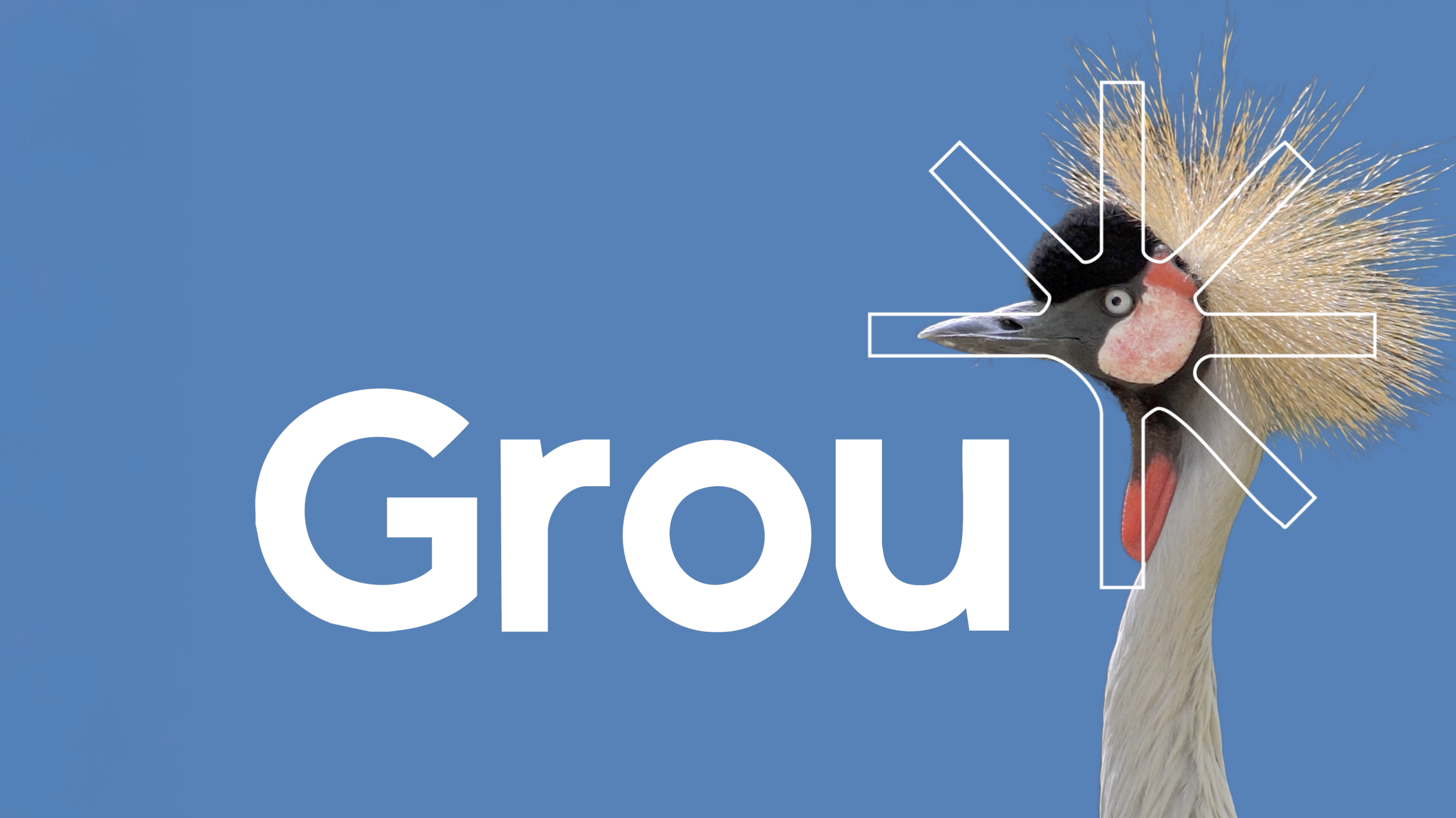 Screenshot 2026-01-14 at 11.24.24.png